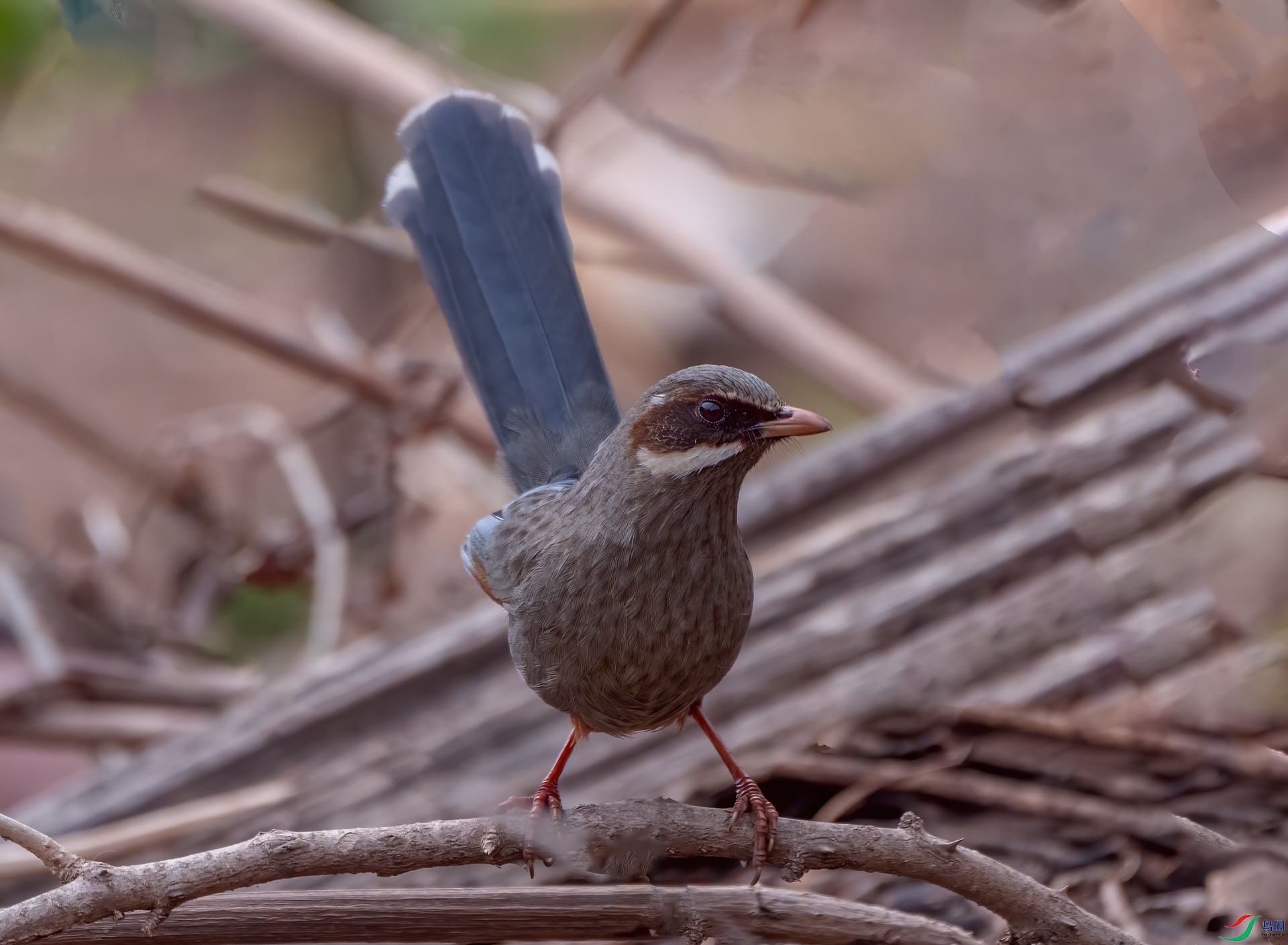 DSC_5846-1.jpg