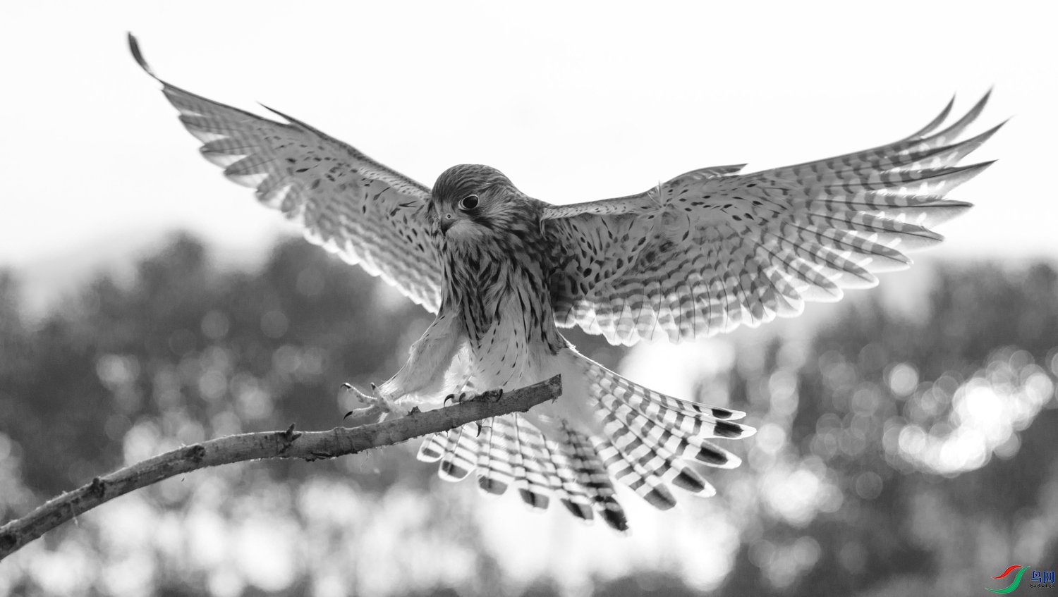 1N5A7588 ����.jpg