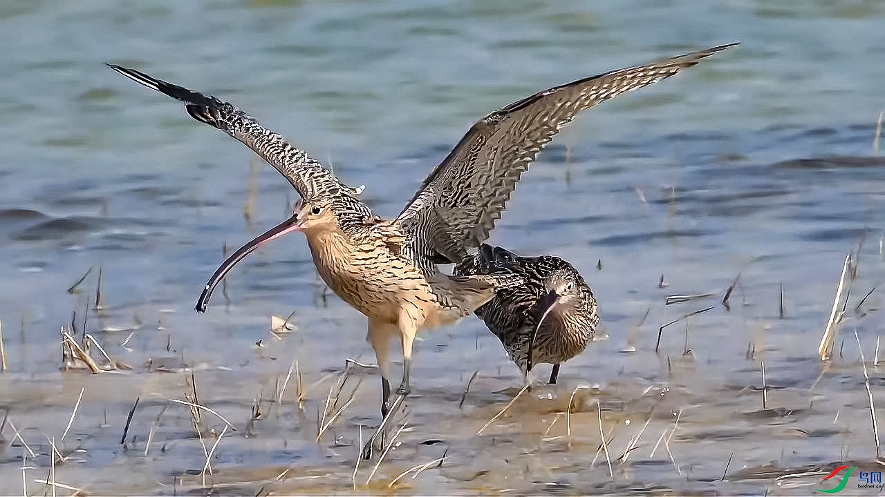 3��21�� (1)�����ǳ̲��ʳ-����.jpg