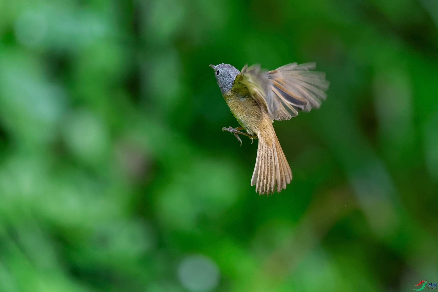 DSC_1770_DxOa.jpg