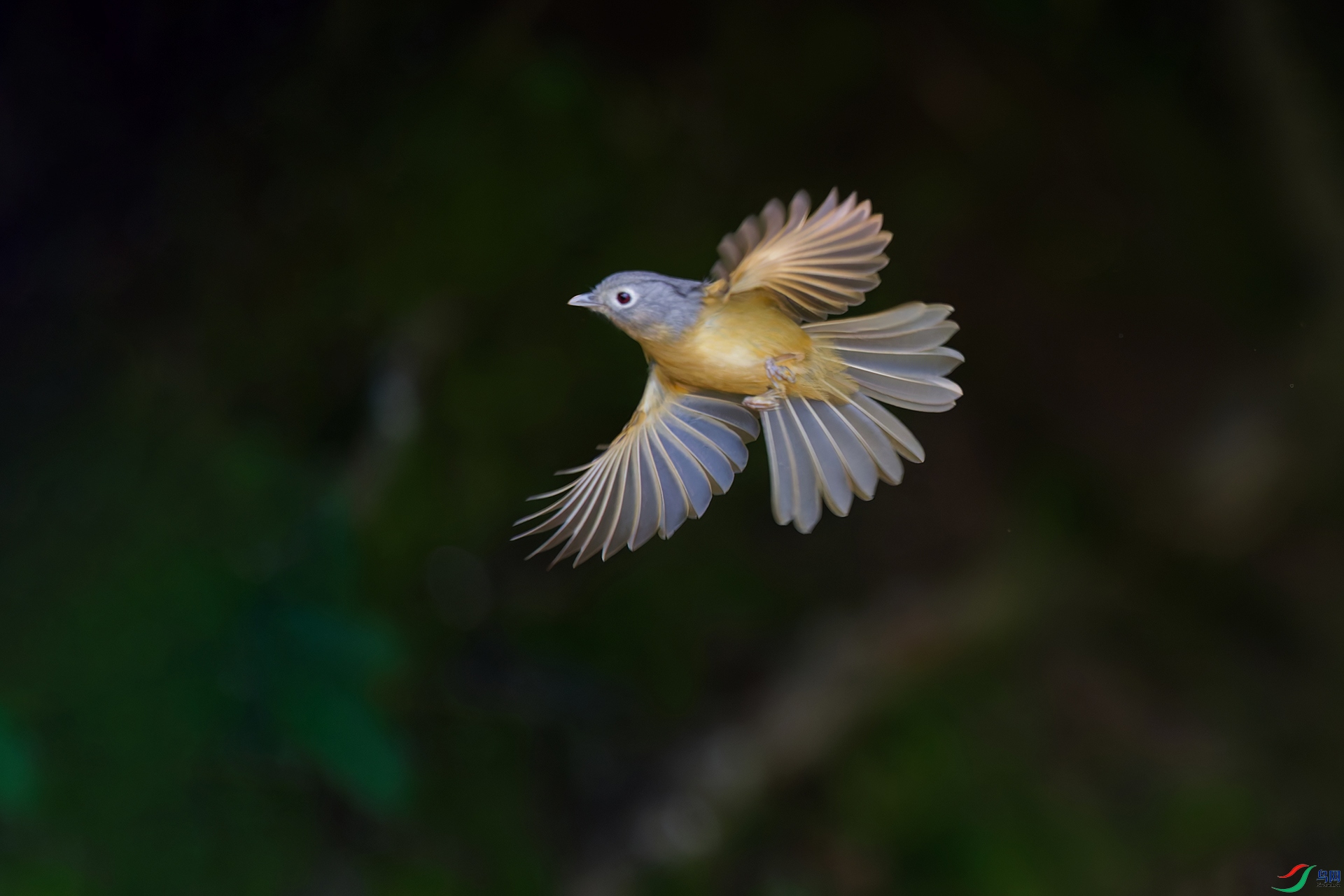 DSC_7700_DxO_DxOa.jpg