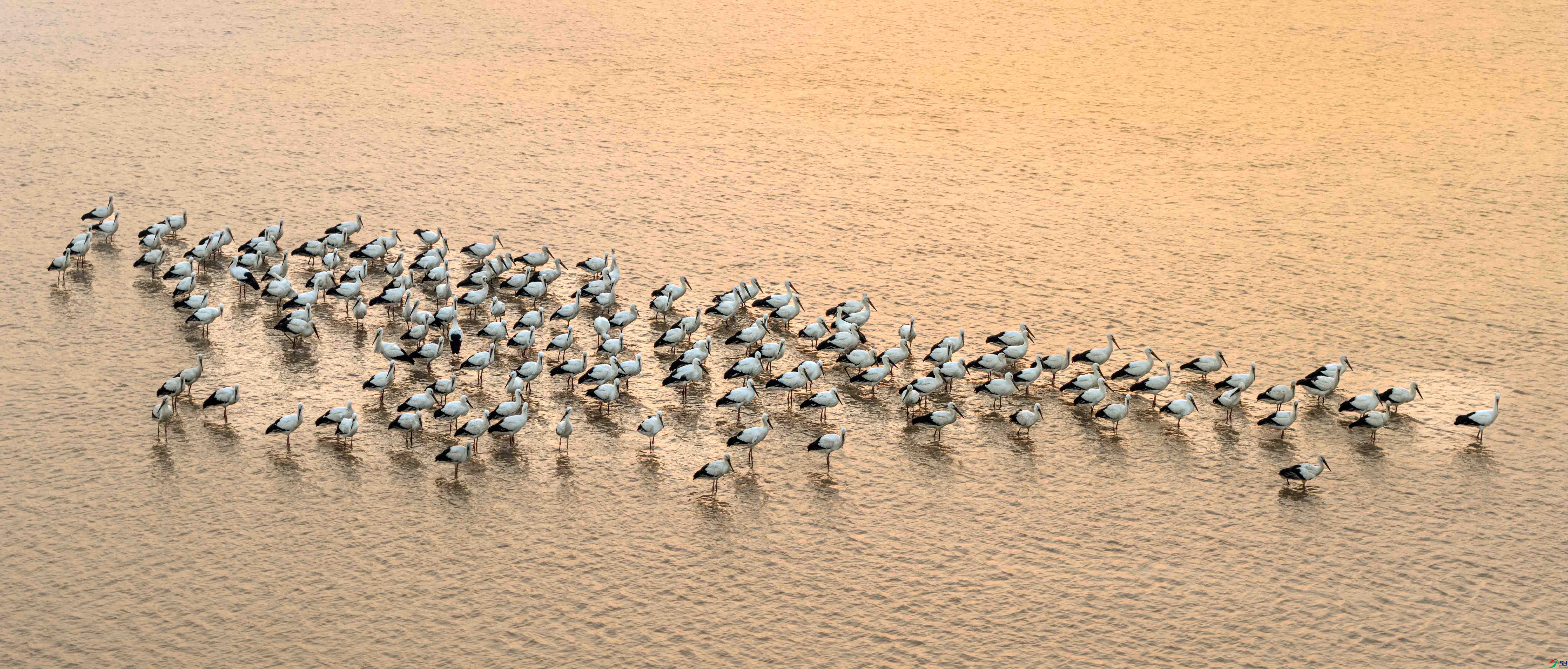 DJI_20251130071405_0161_D ����.jpg