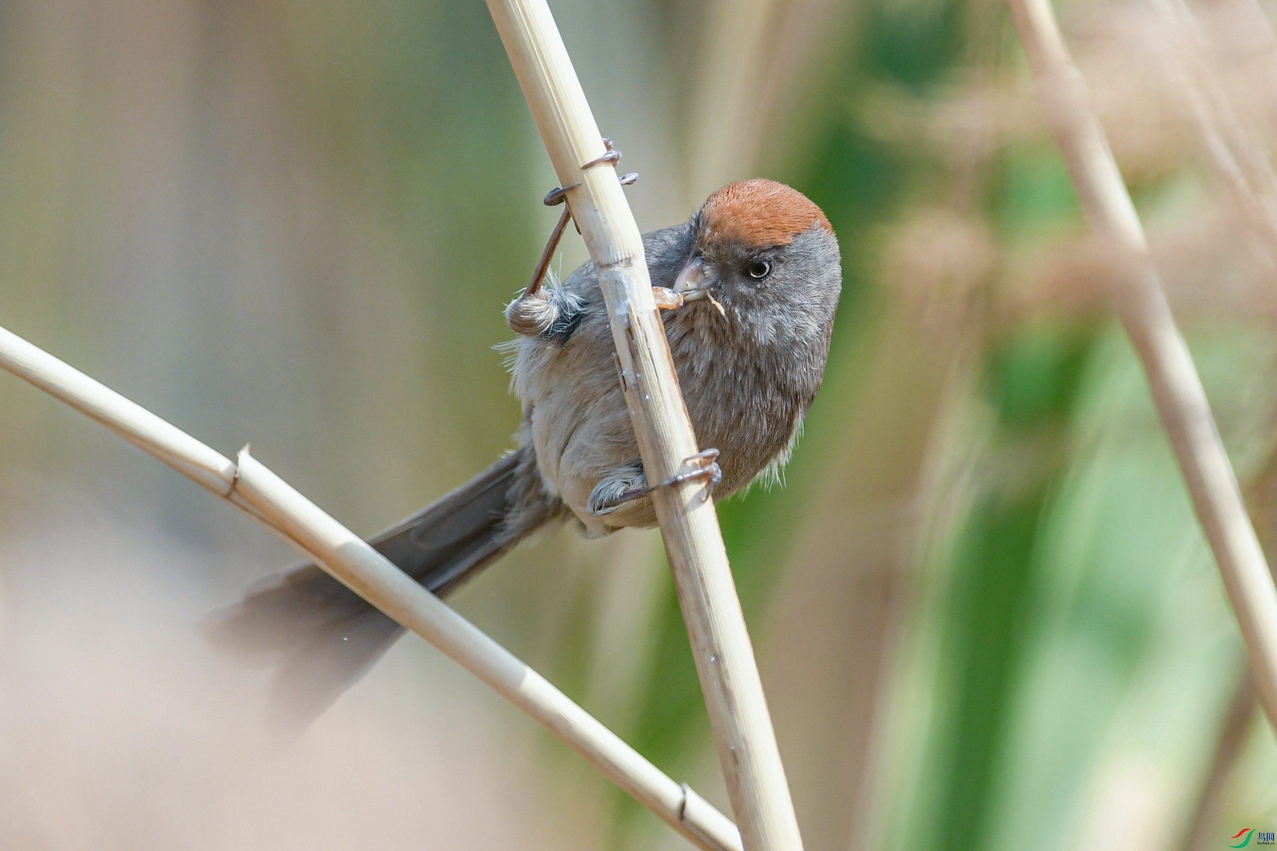 DSC_6803 ���� 2.jpg