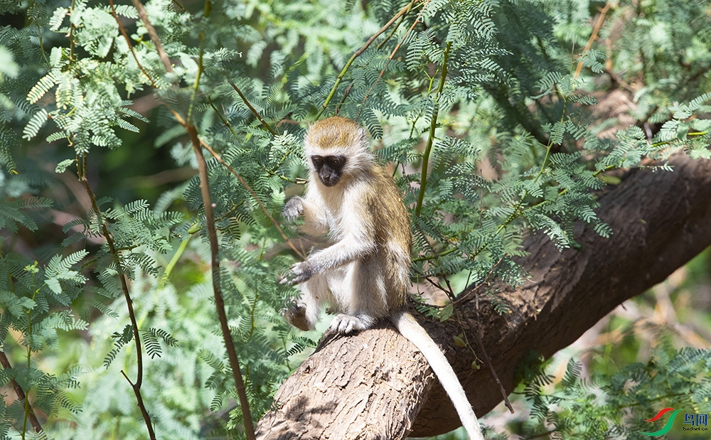 ���޺����� (7).jpg