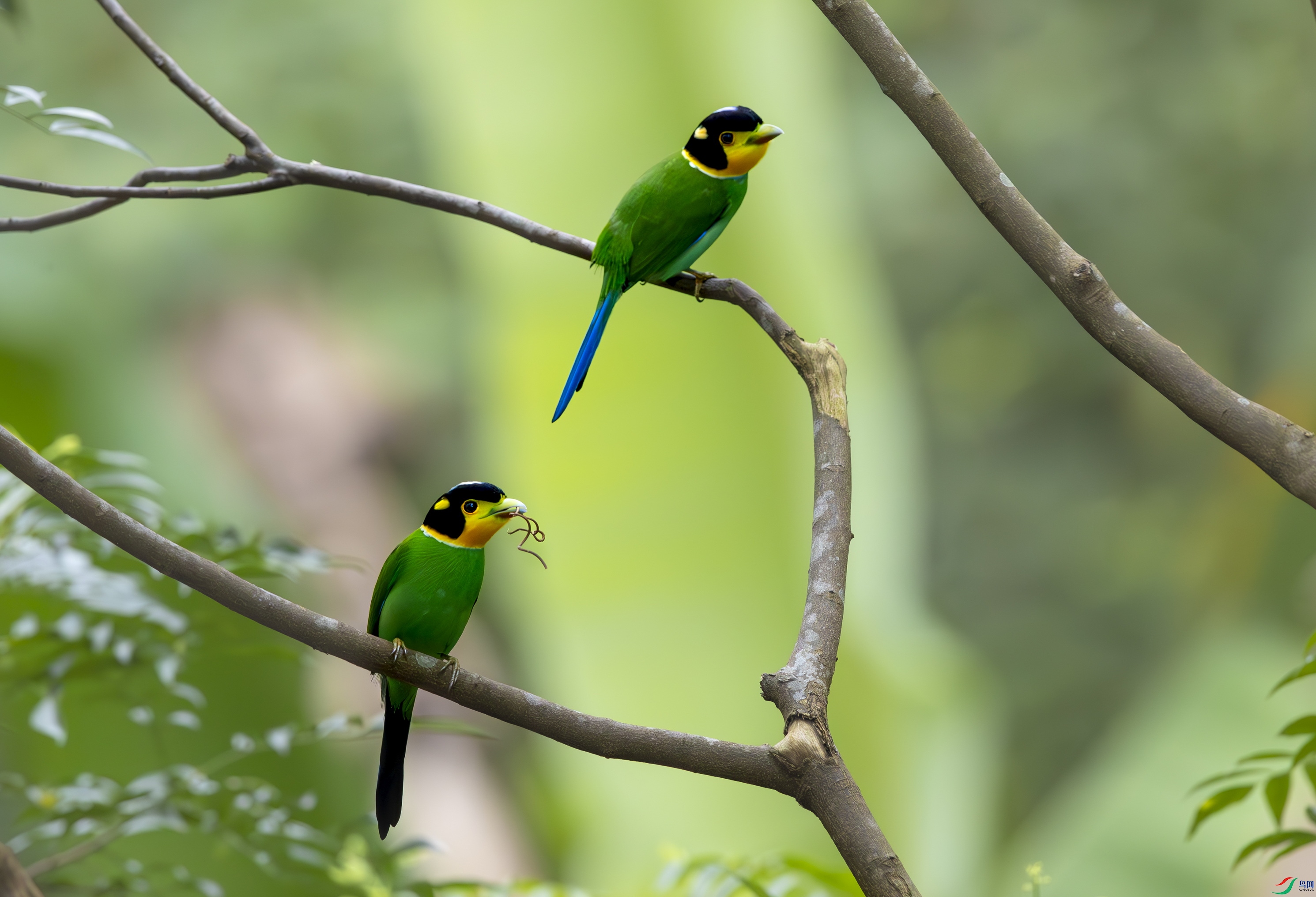 ����������