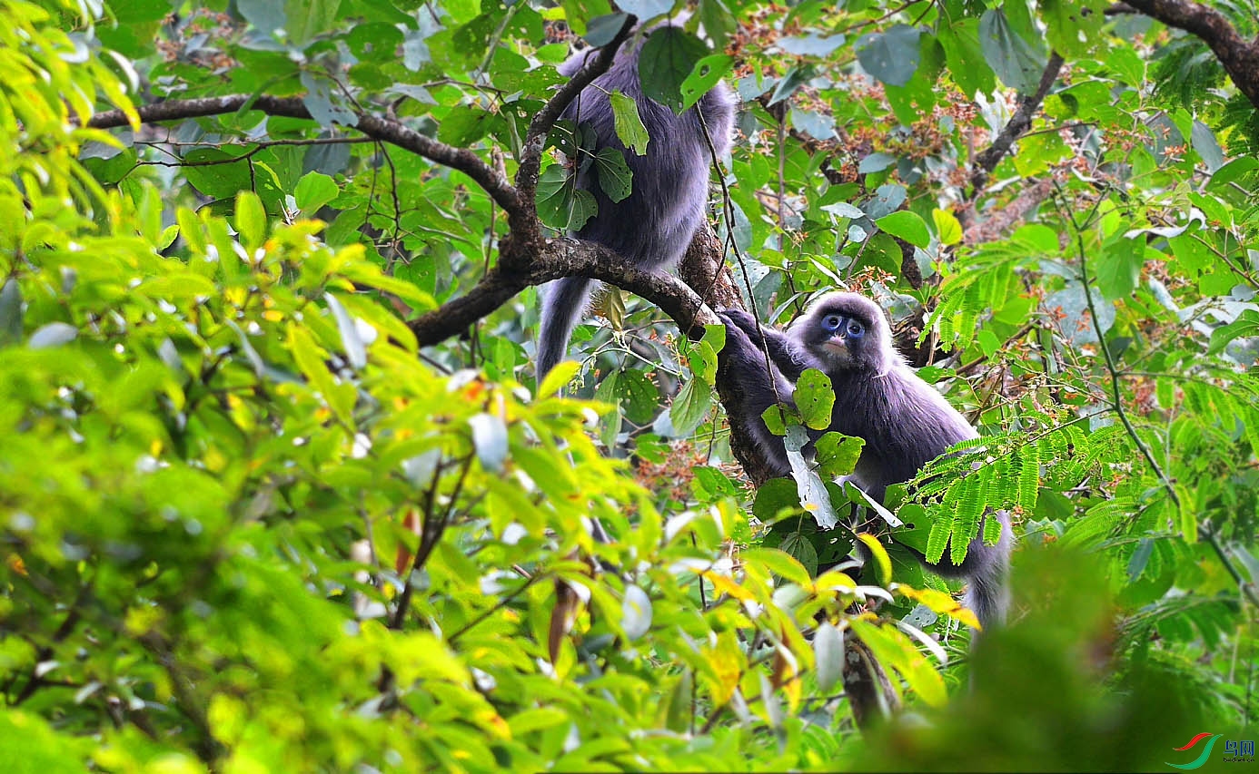 {AE850665-691A-429E-95F3-A91C76A1657A} ����.jpg