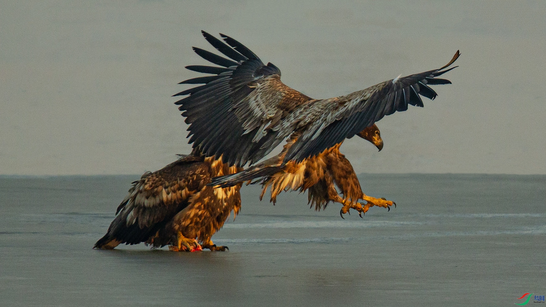 _MG_0730 ����.jpg