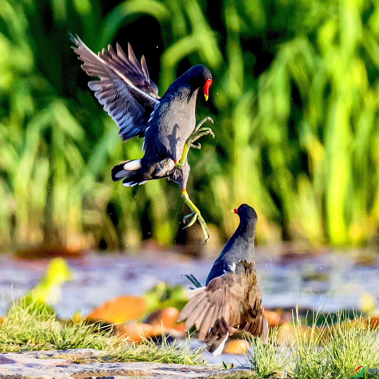 _90I1192 ����.jpg