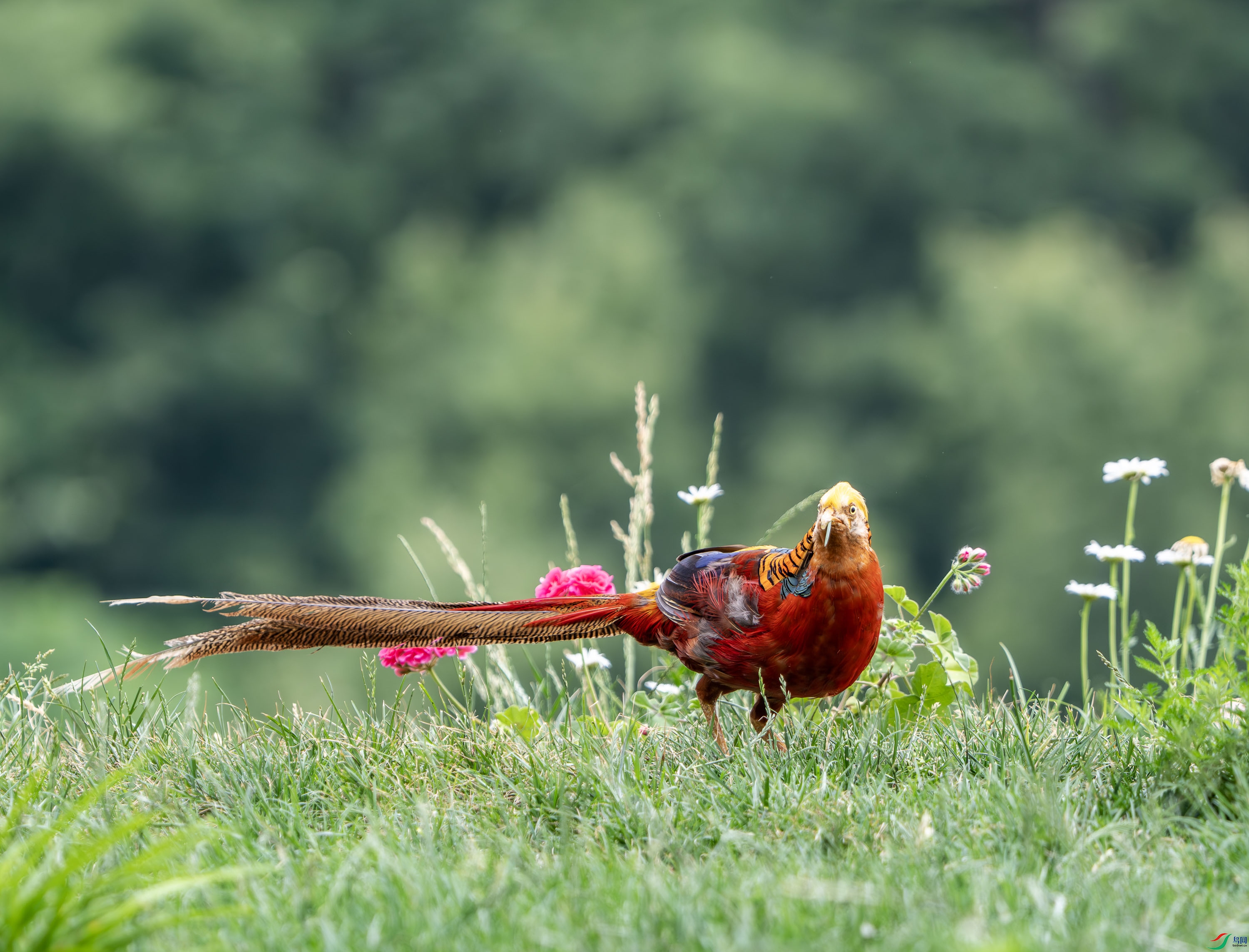 �츹����-9.jpg