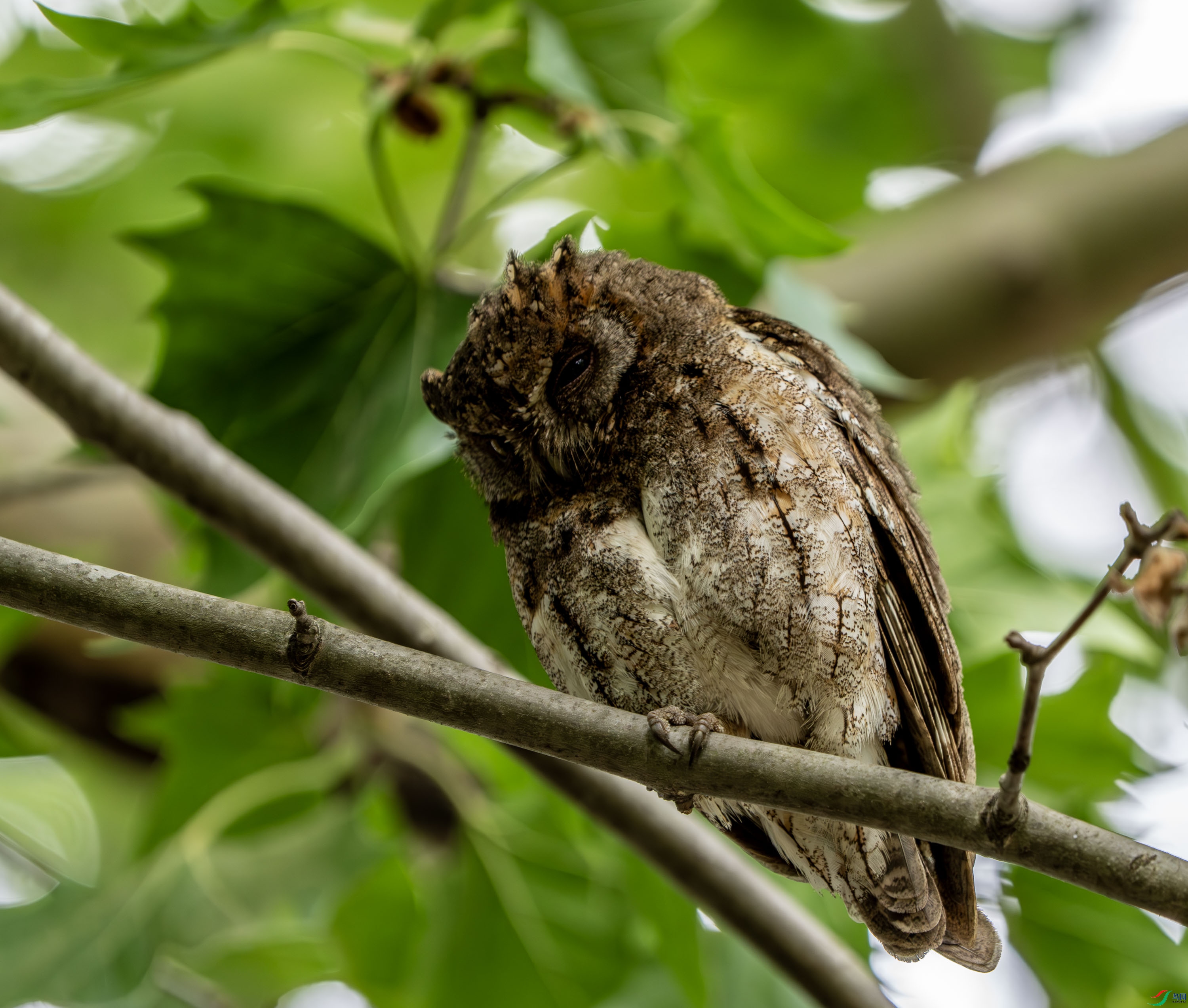 ����^-1 (8).jpg