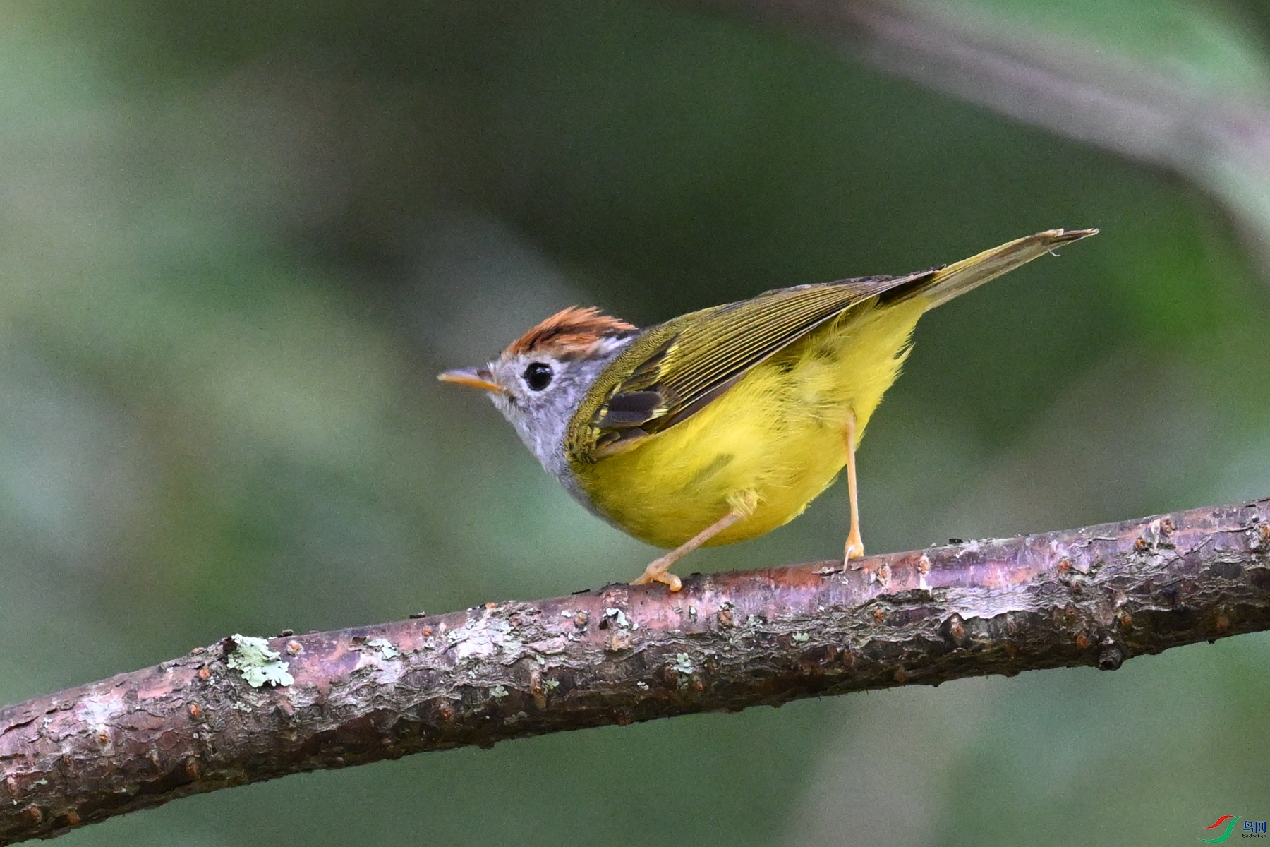 DSC_2774.JPG