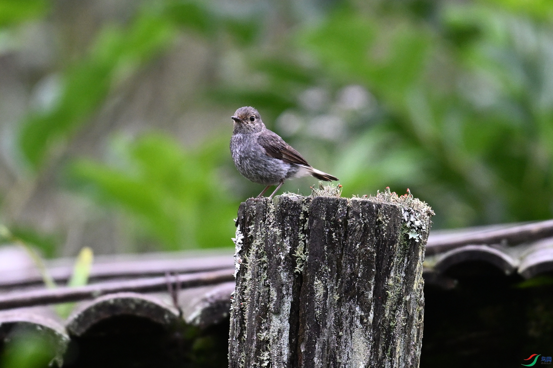 DSC_2761.JPG