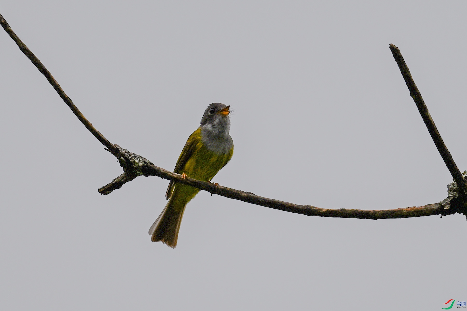 DSC_2720.JPG
