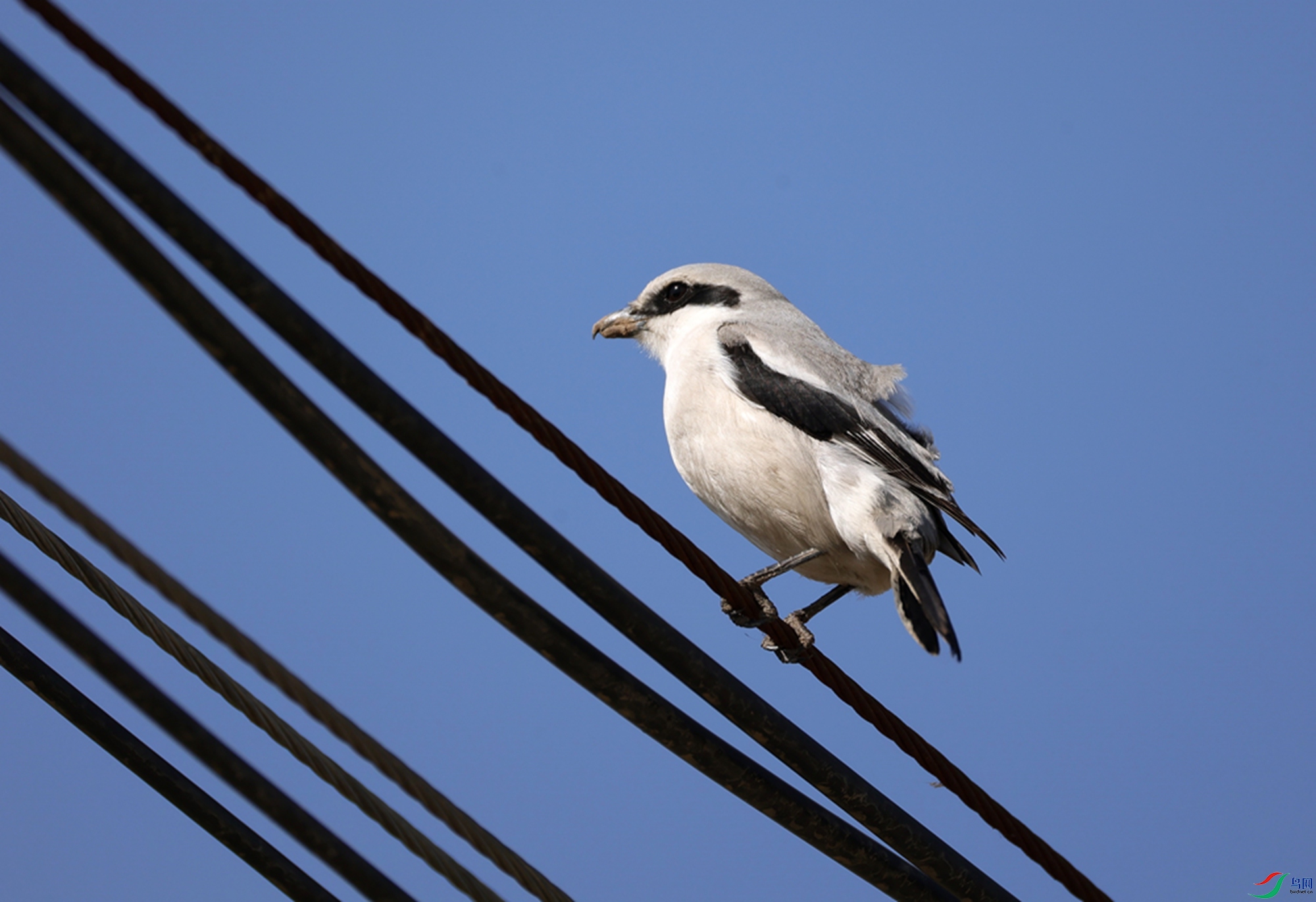 ��ͷ����  (1)_����.jpg