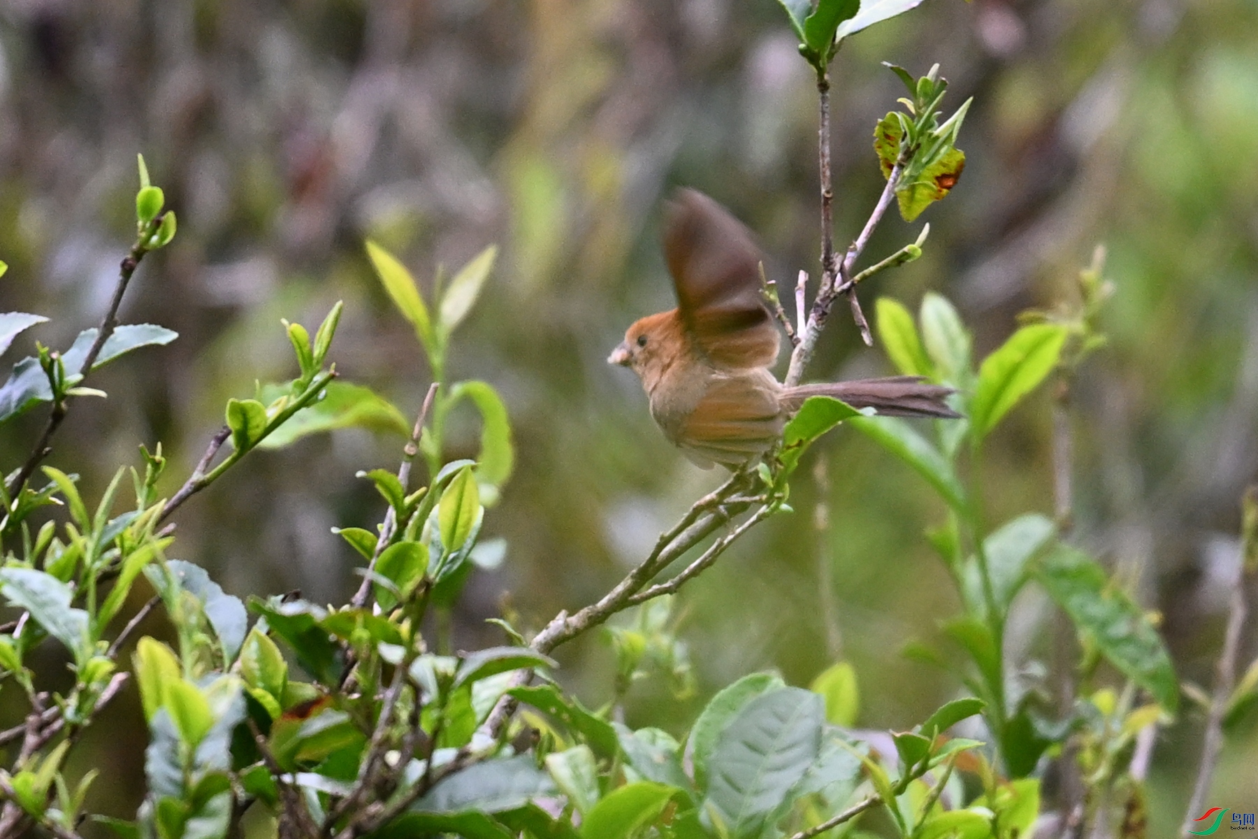DSC_2744.JPG
