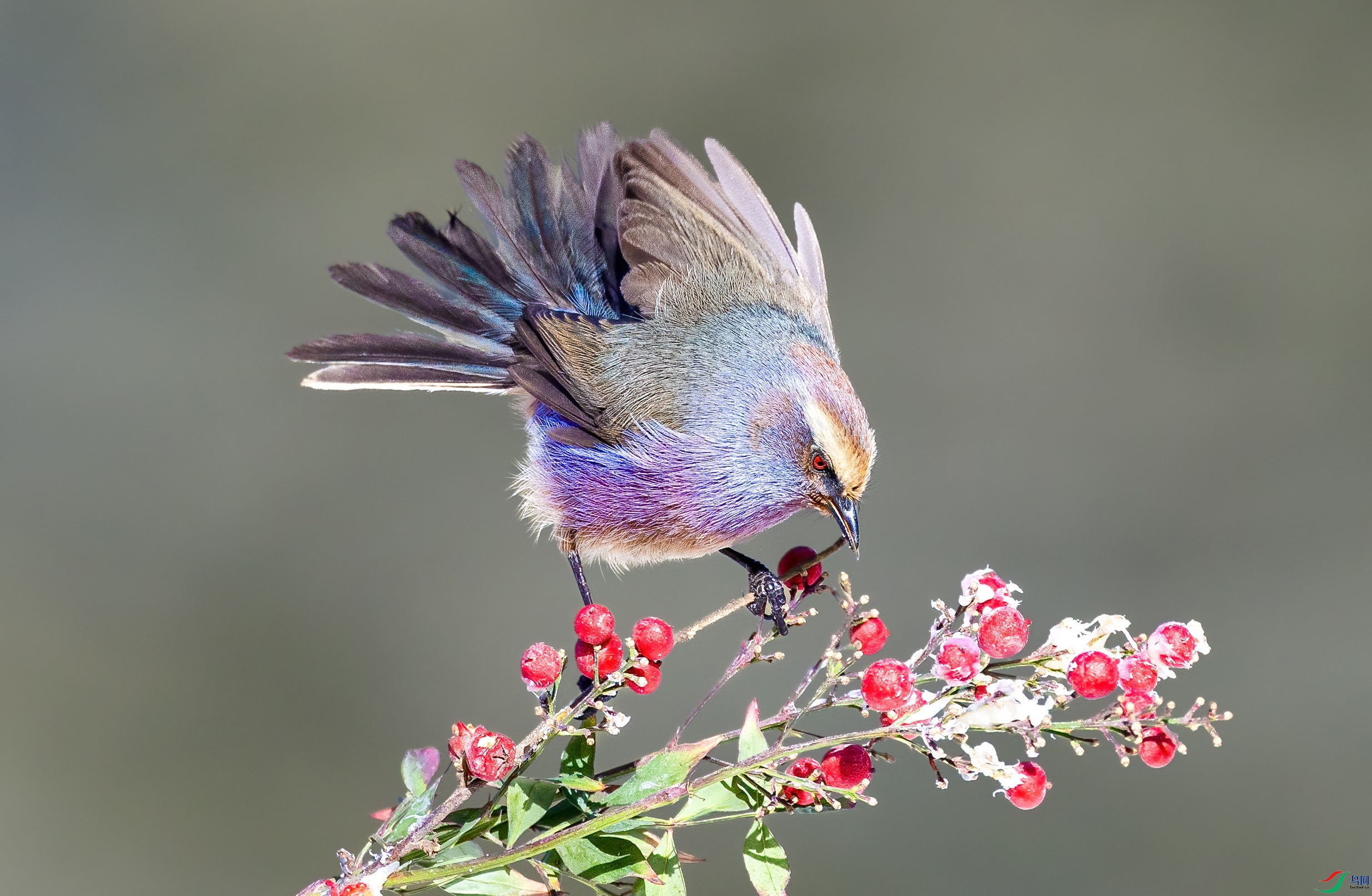 099A8364 ����01 ����k01.jpg