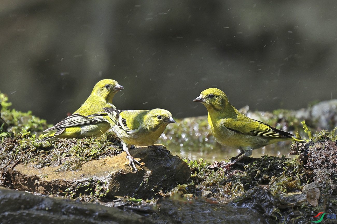 ���ػ�ȸ��1219 .jpg