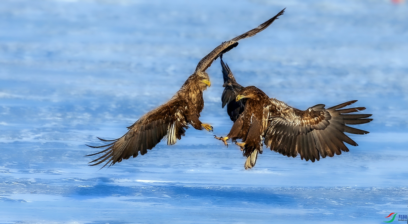 ��β����