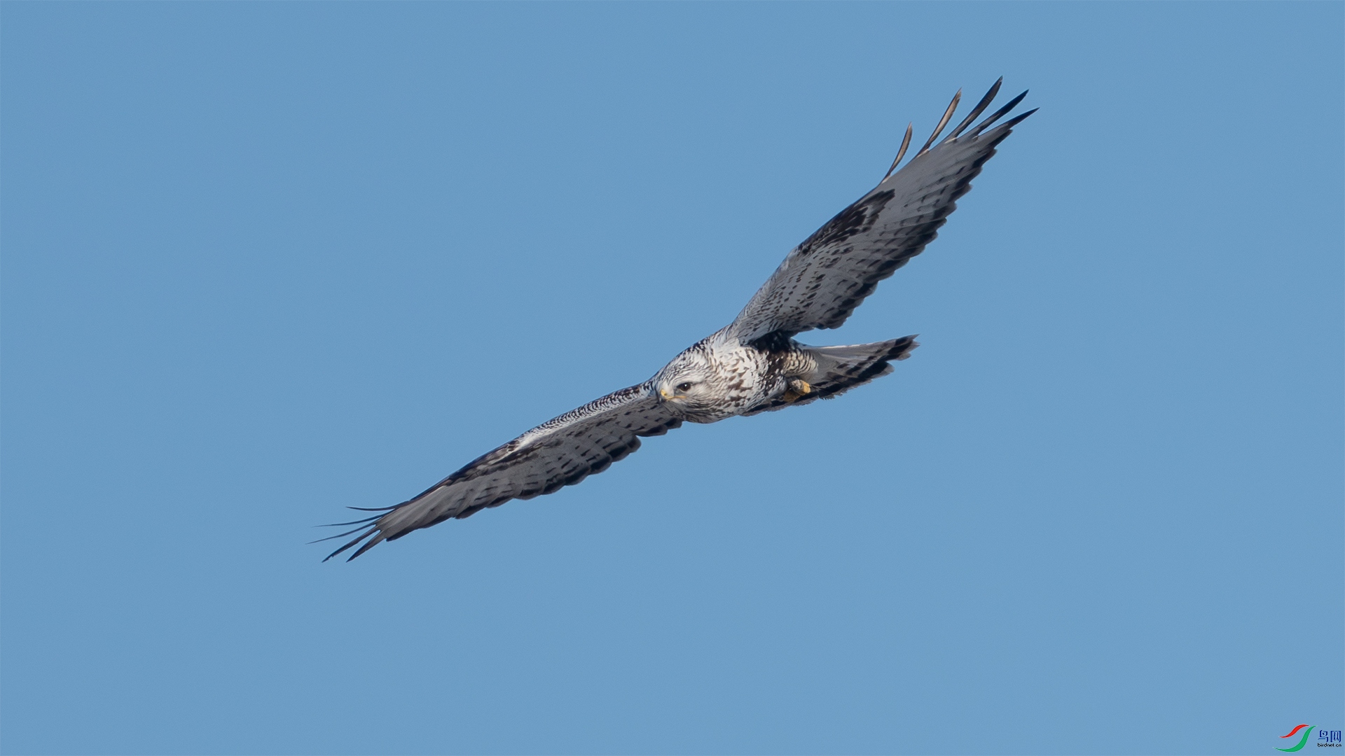 _DSC0575 ����.jpg