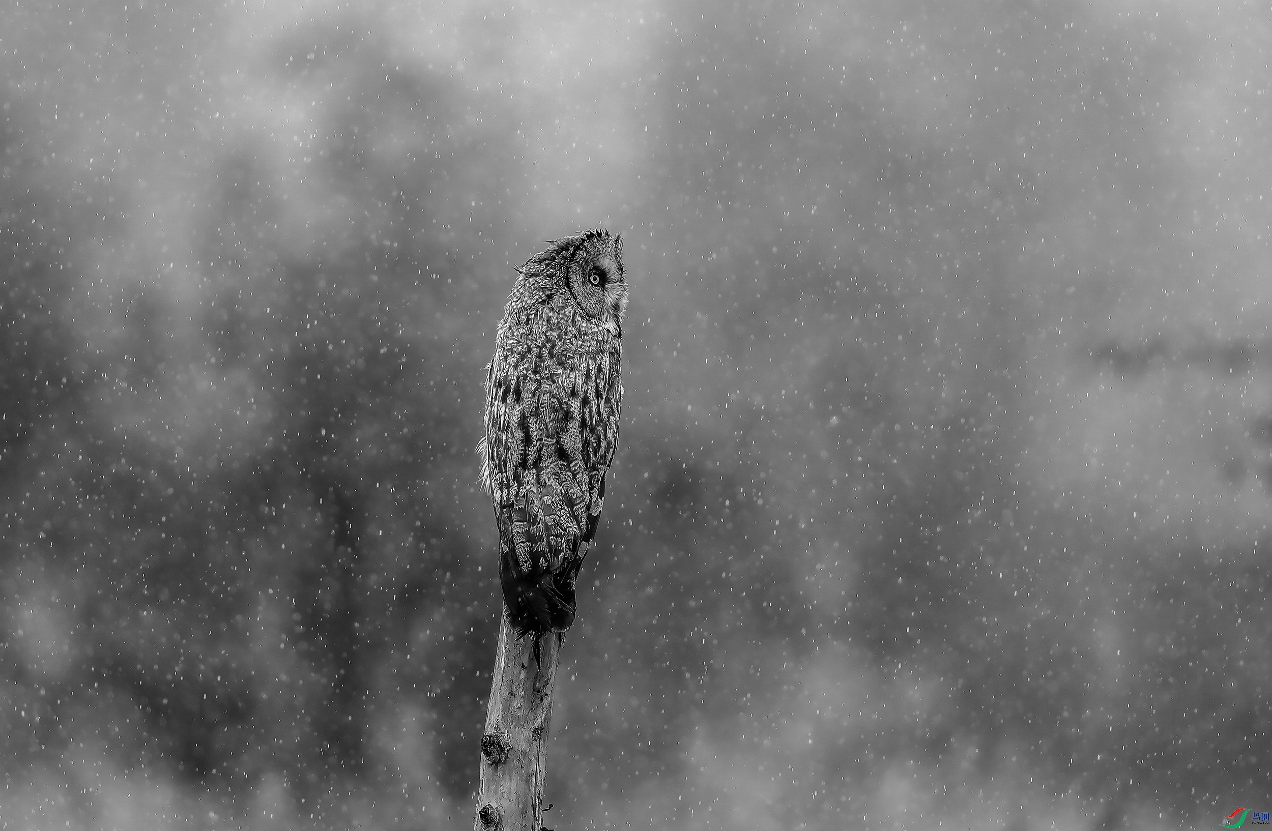 AC3I6376 ���� 2.jpg