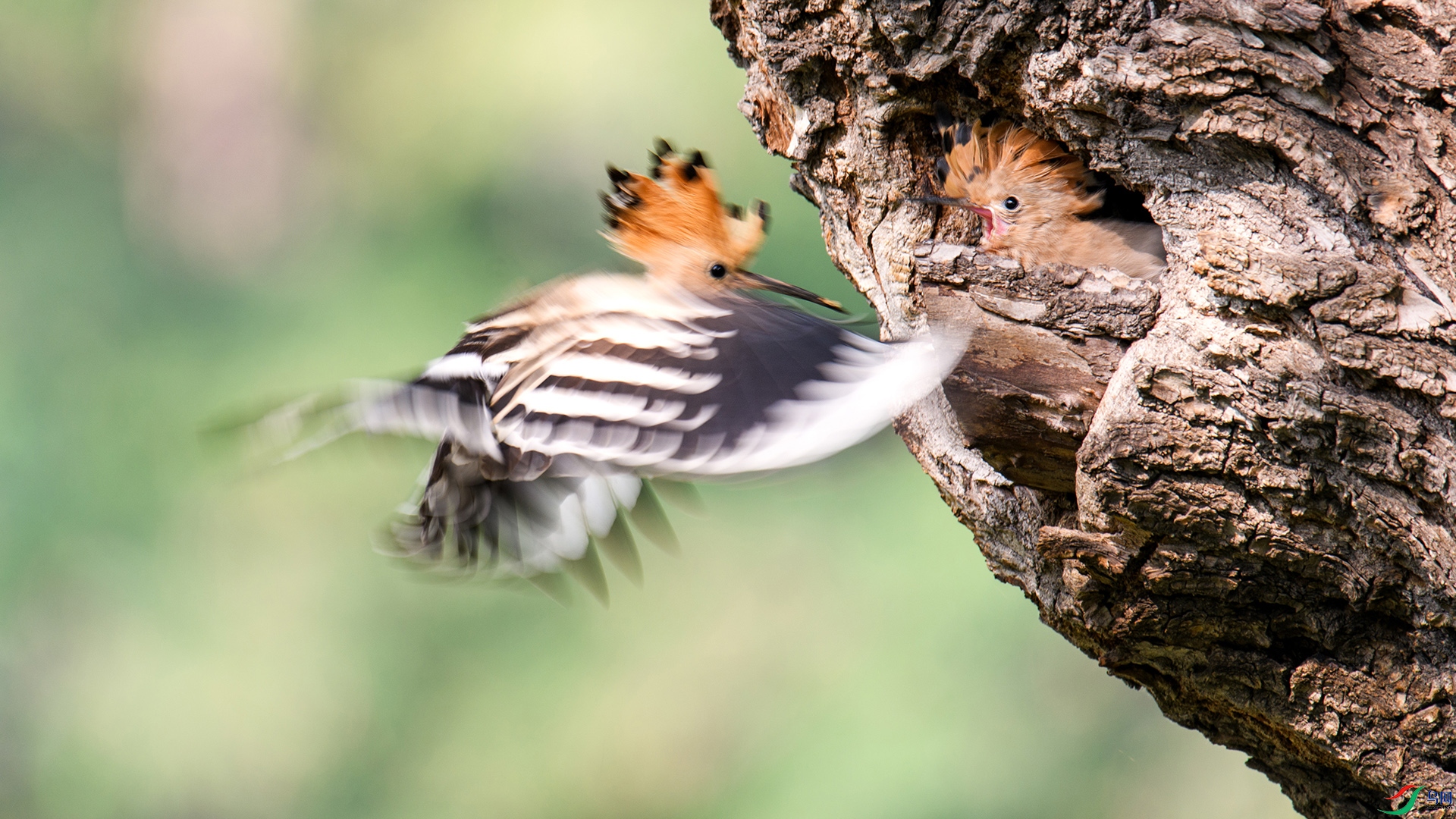 DSC_5194-20250517 ��.jpg