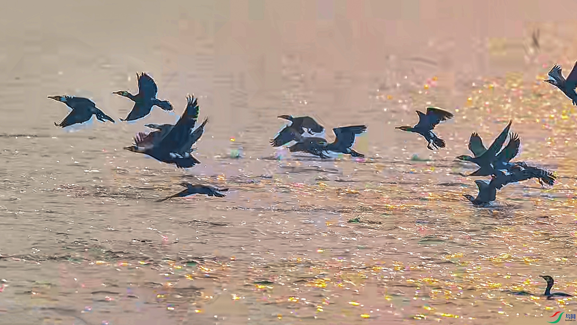 3��23�� (1)(1).jpg