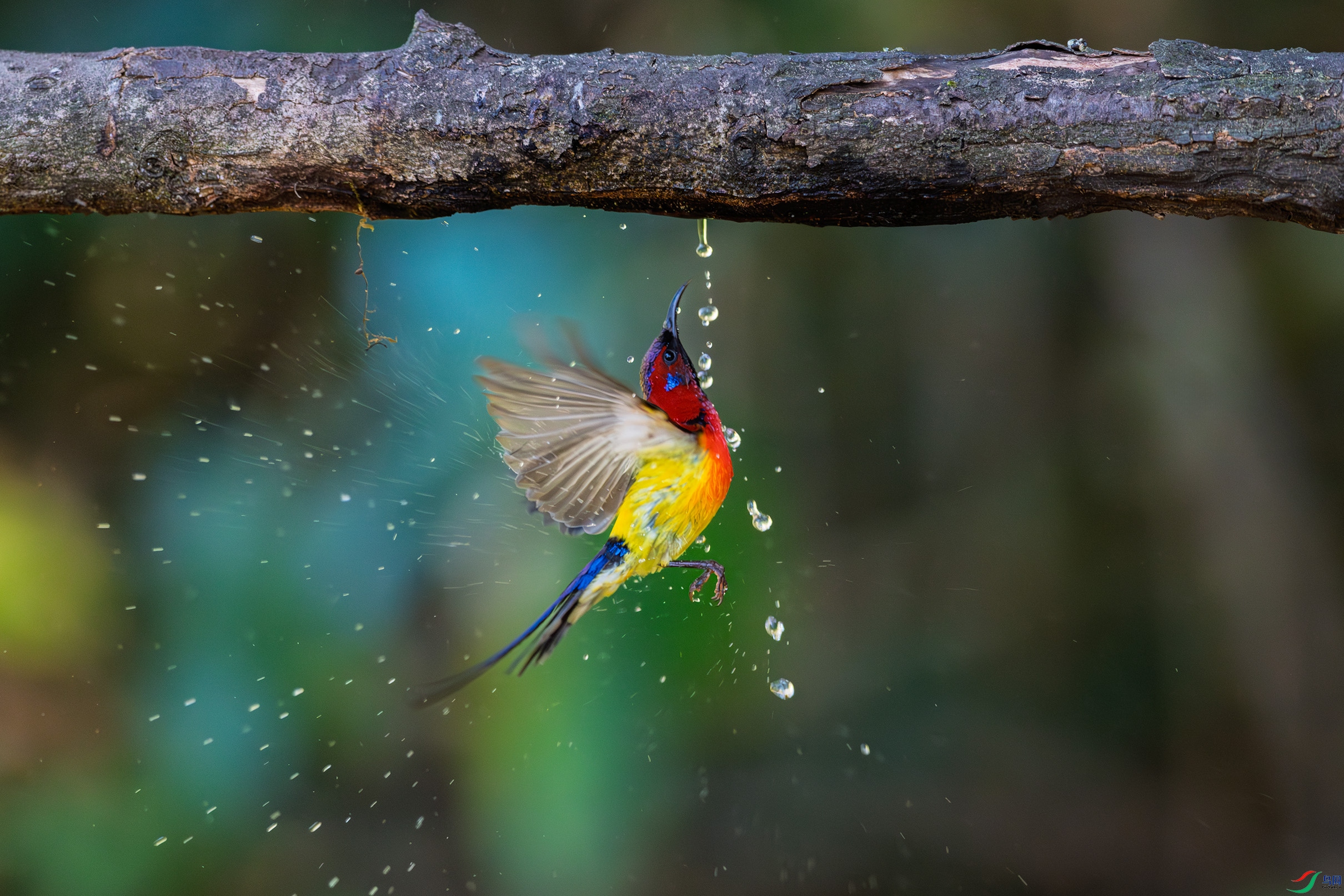 DSC_5197-1.jpg