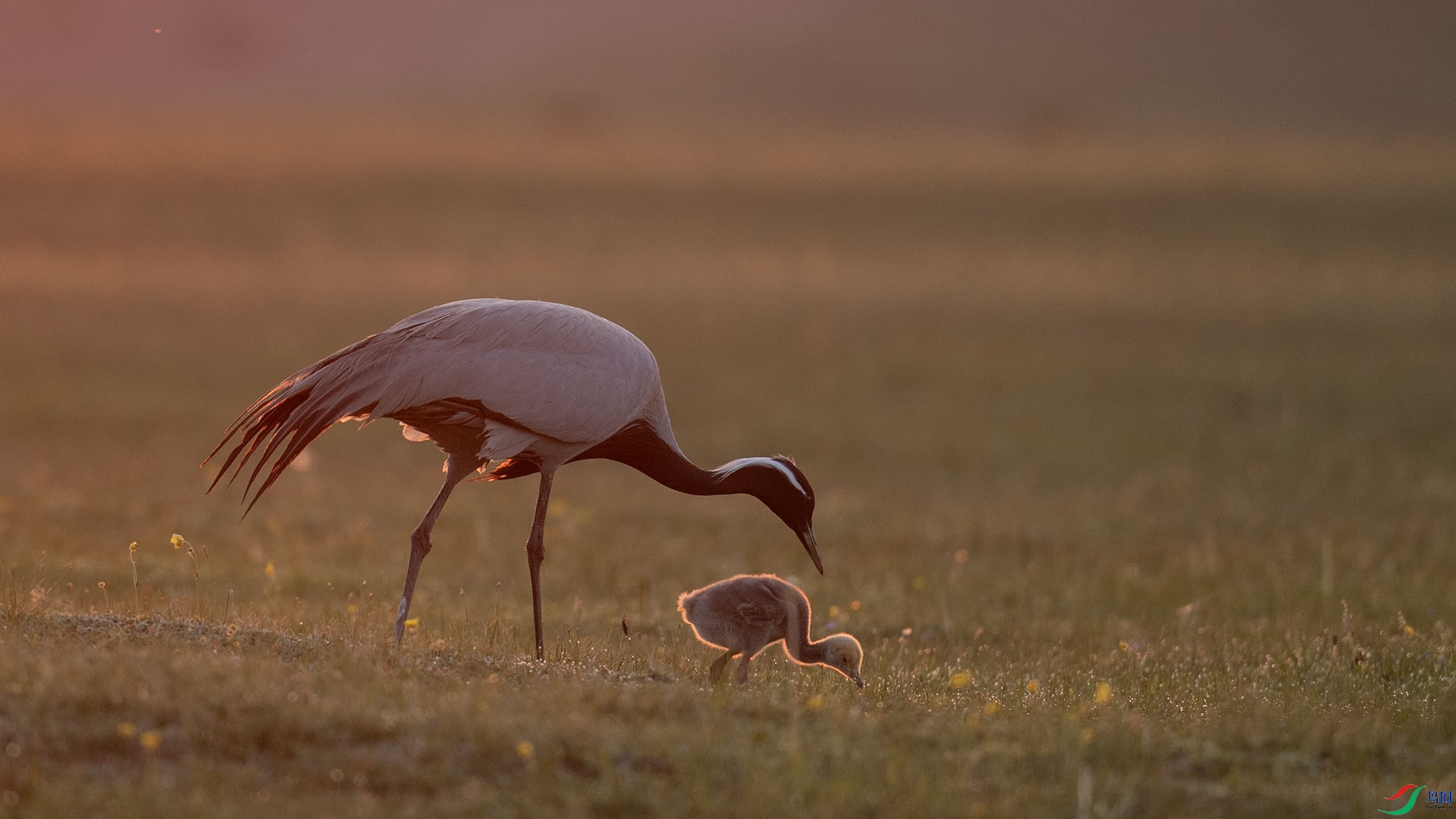 _DSC4631 ����.jpg