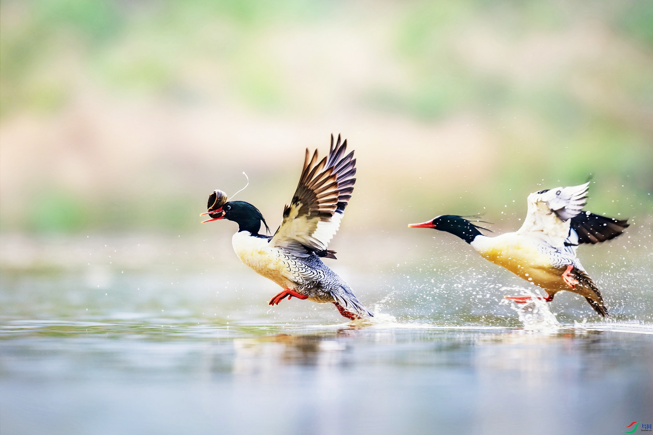 DSC_6148 ���� 2����.jpg