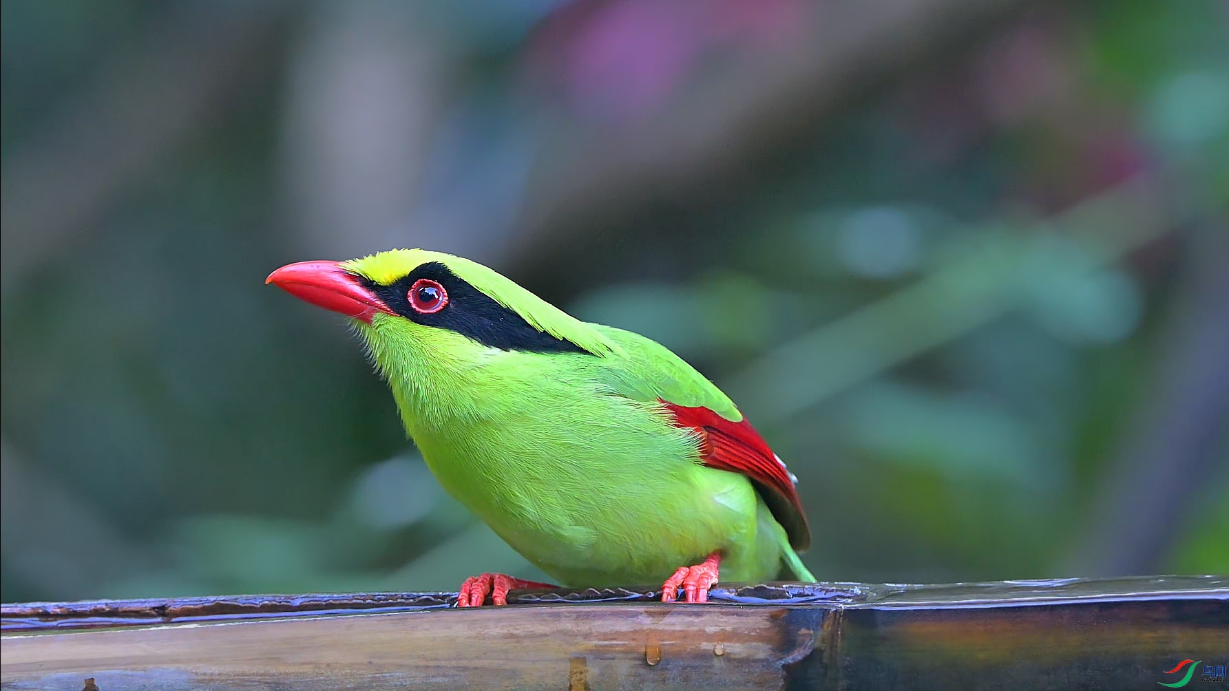 {75FACE0E-A885-4ED5-AC25-A337DFF34E92} ����.jpg