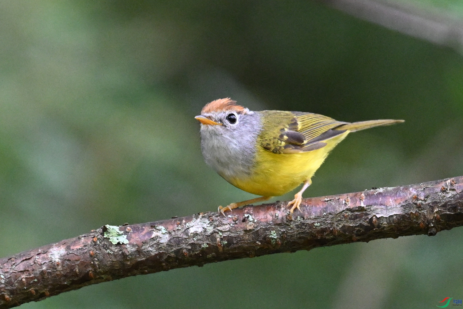 DSC_2792.JPG