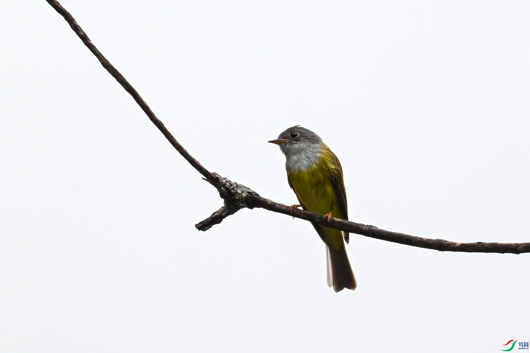 DSC_2729.JPG