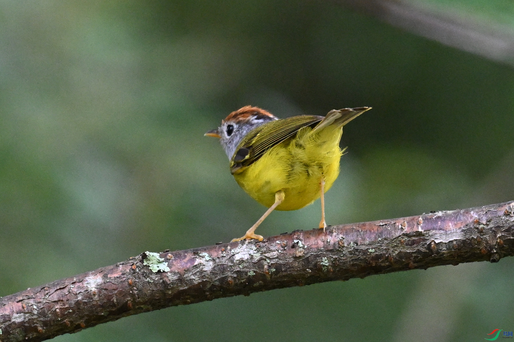 DSC_2796.JPG