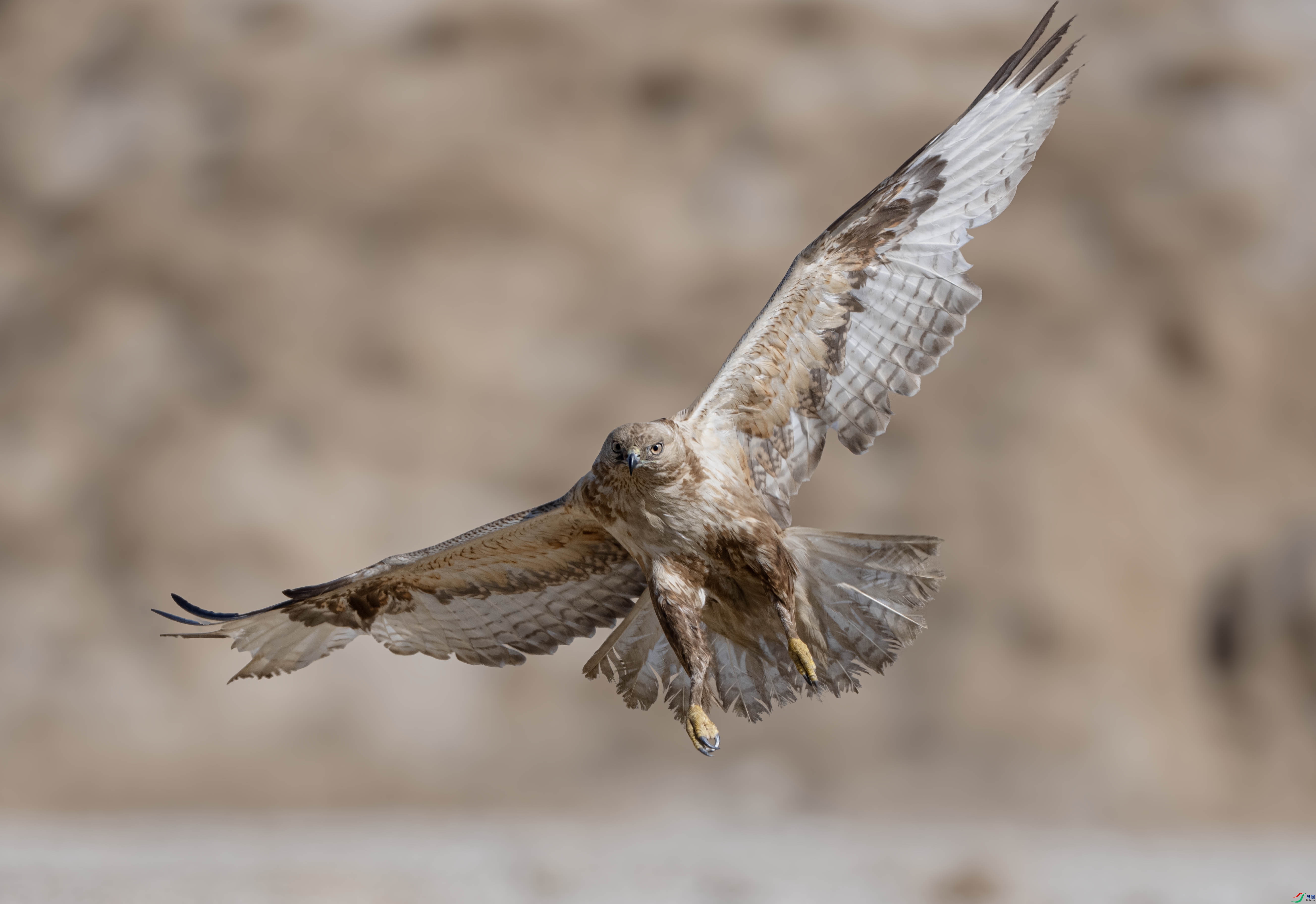 DSC04841 ����.jpg