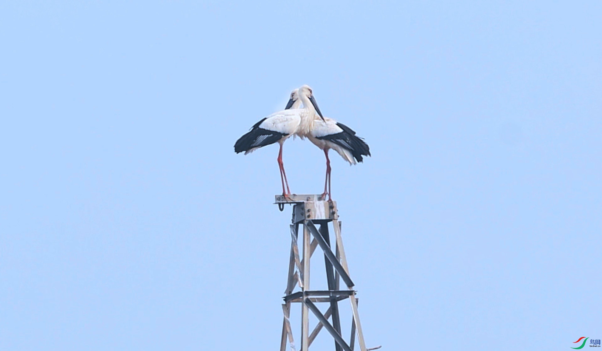 0323(3) ����.jpg