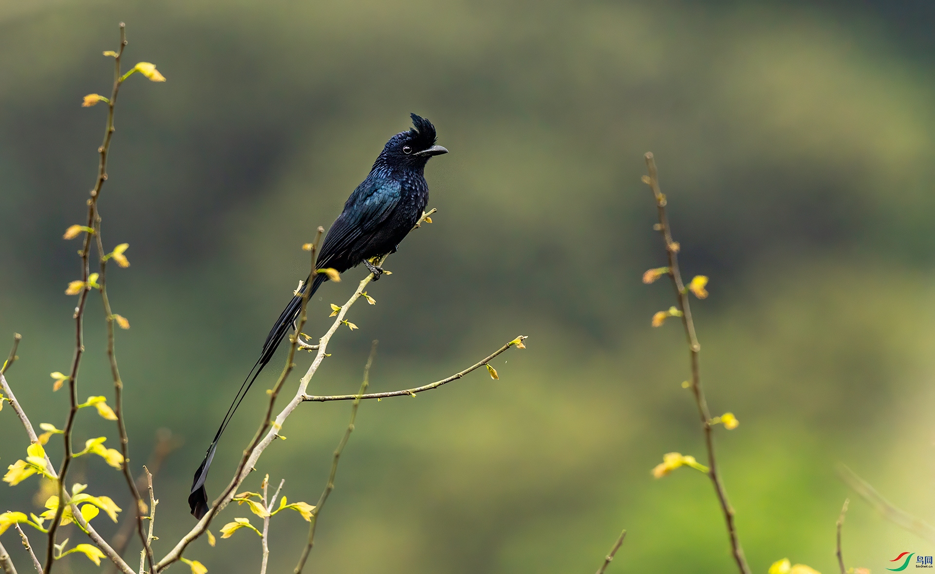 066A2754 ����.jpg