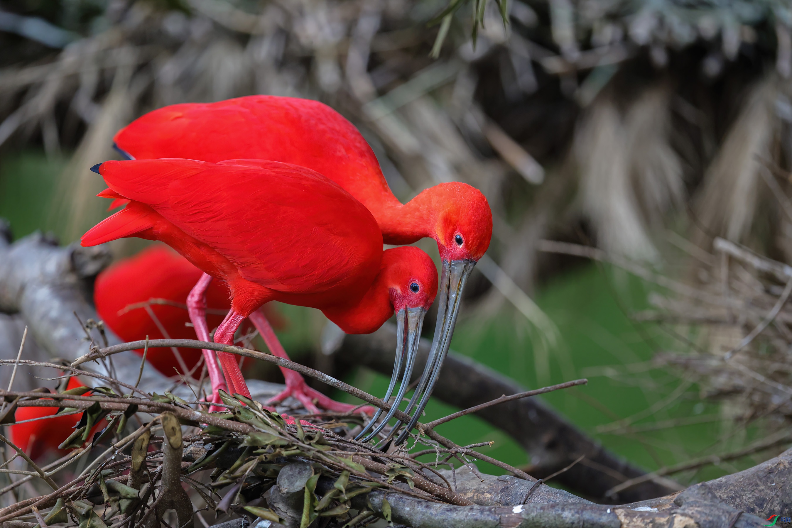 _E8A1190 ���� 2.jpg