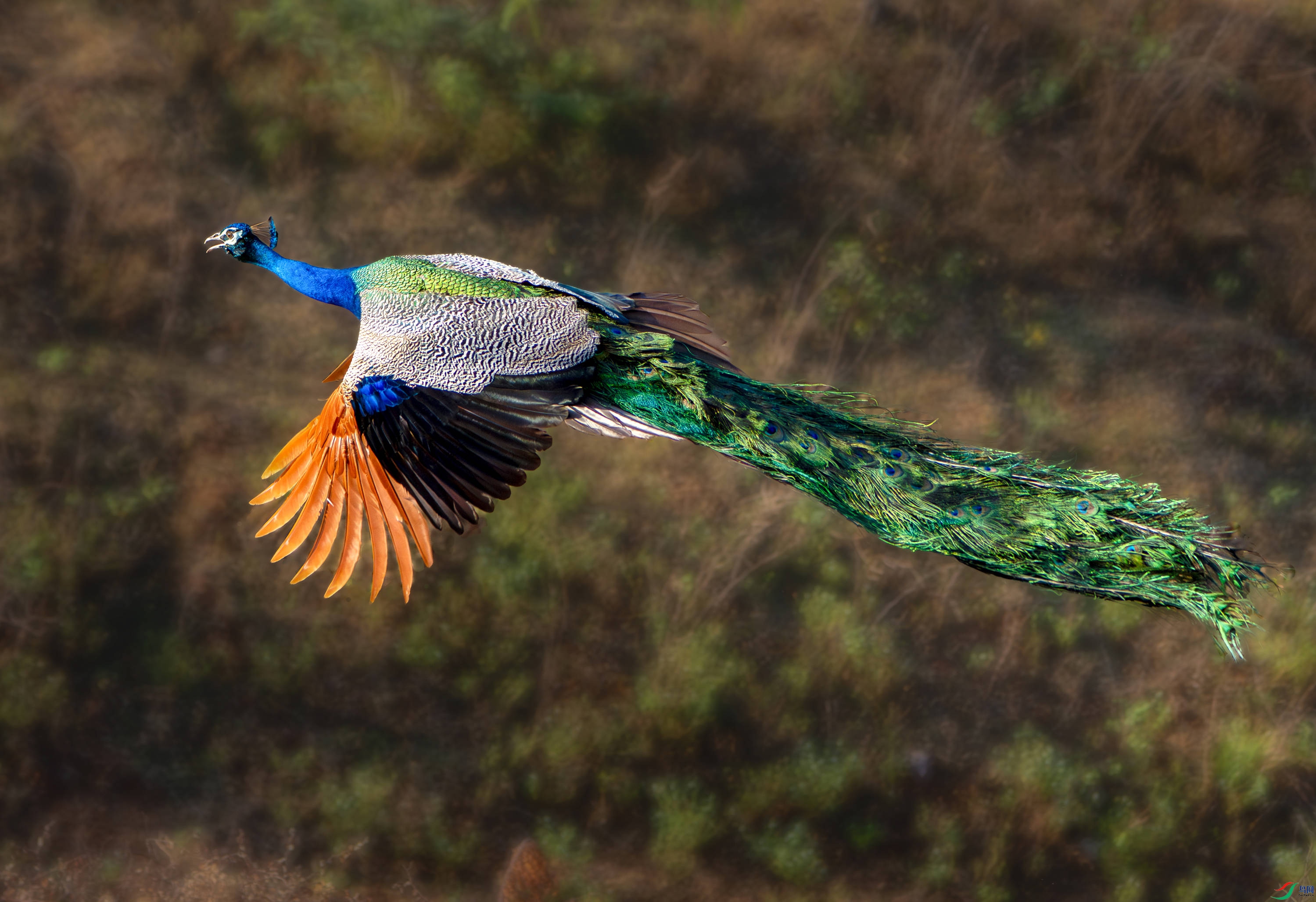 _DSC0867_100937_polarr.jpeg