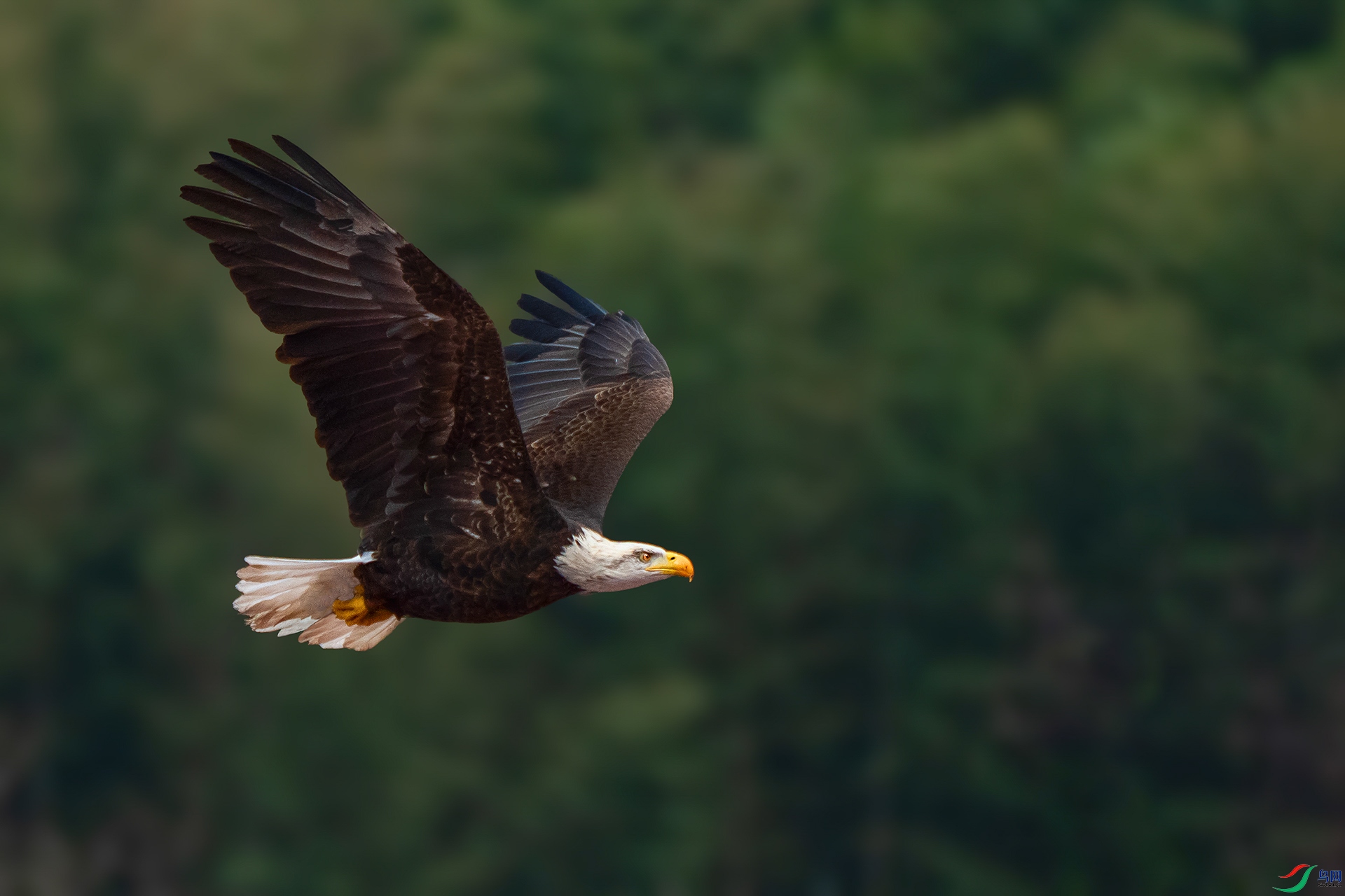 ��ͷ����