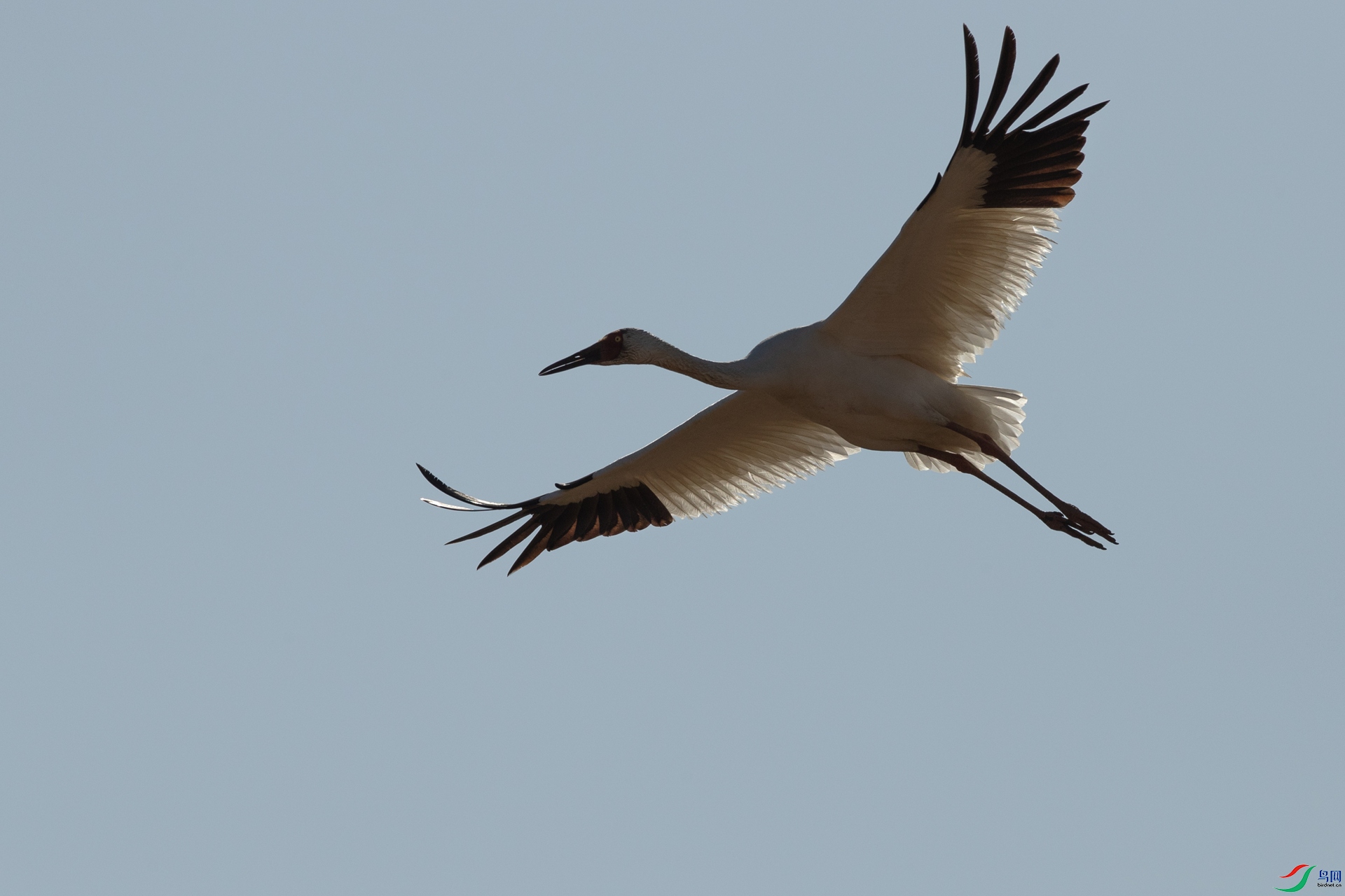 B86I0066 _����.jpg