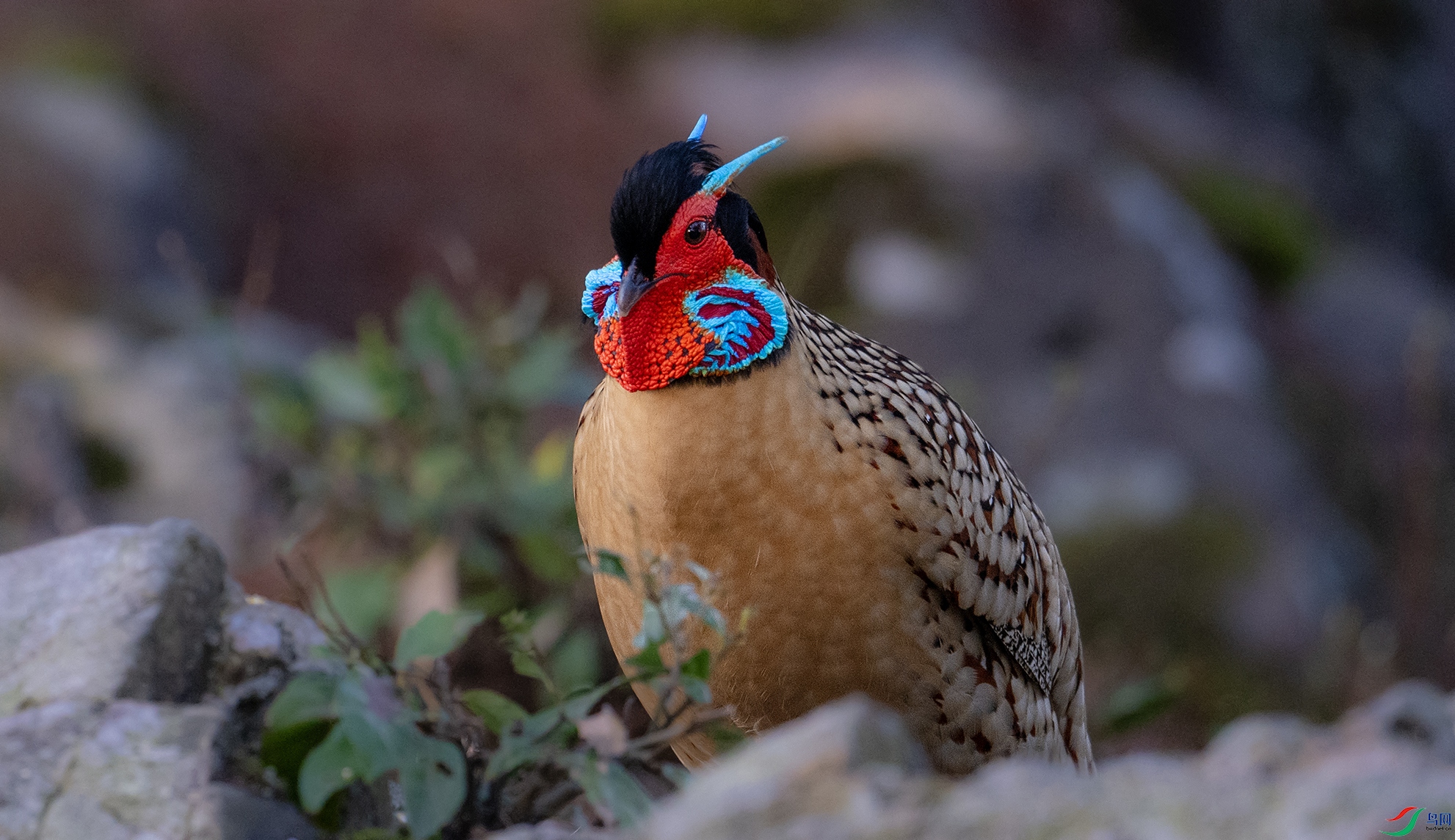 _DSC7161 ����.jpg