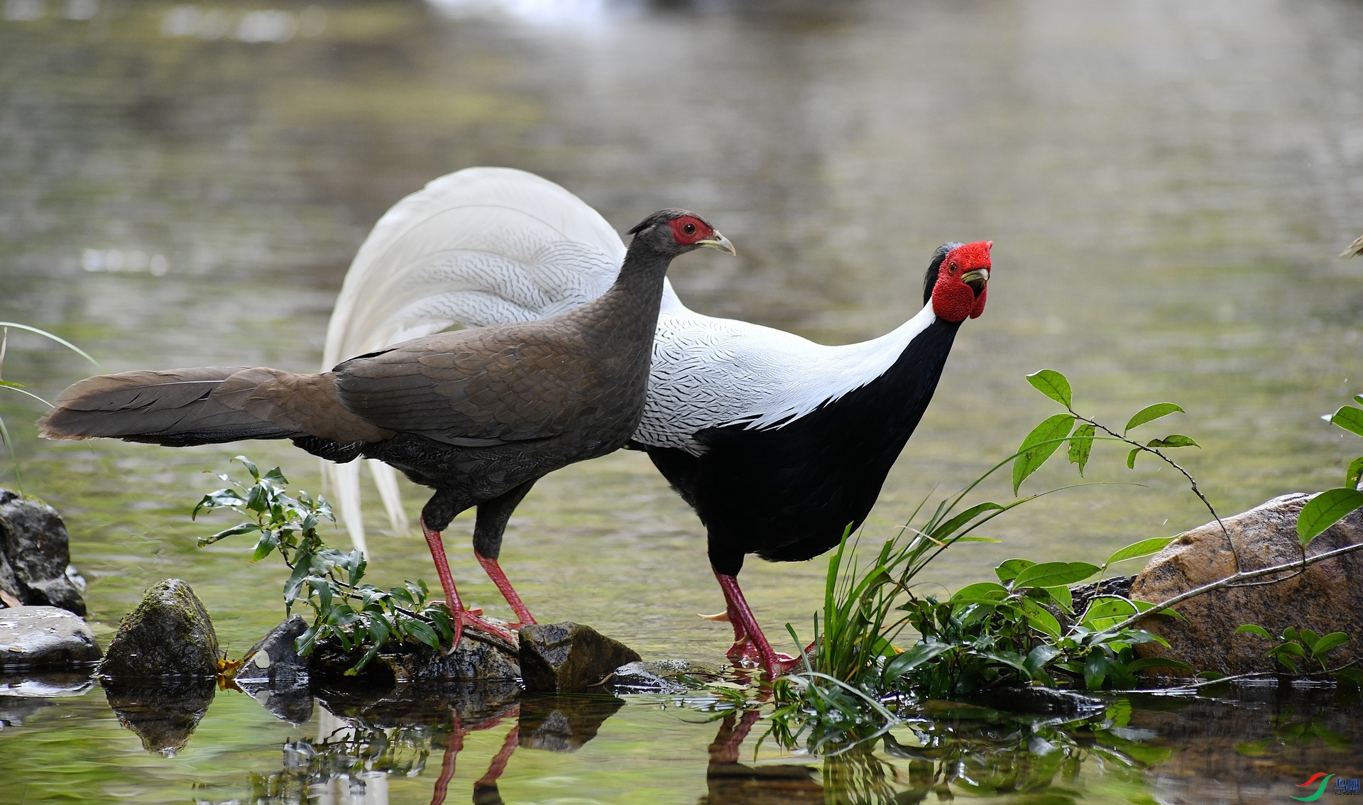 DSC_3102.jpg