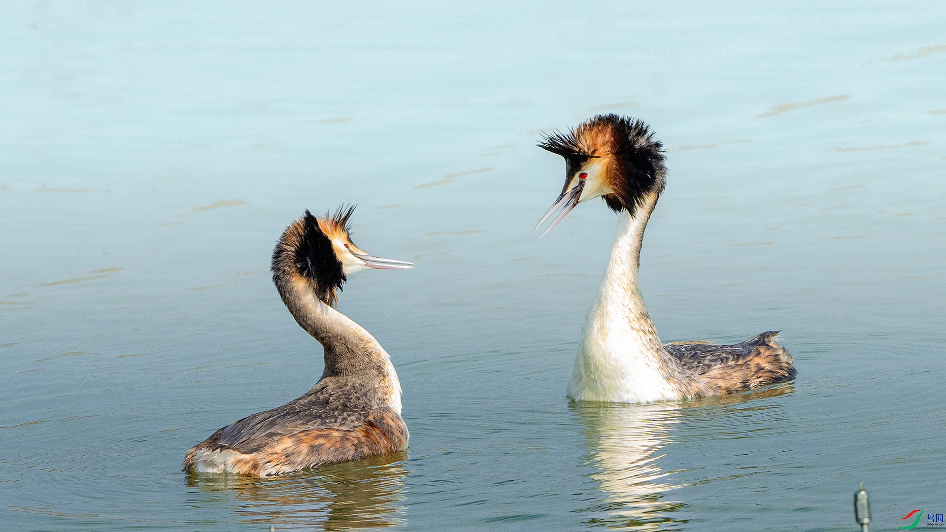 DSC_4159 ����.jpg