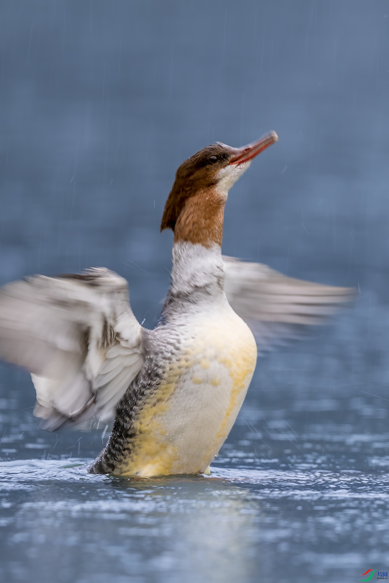 _F9A3718 ����.jpg