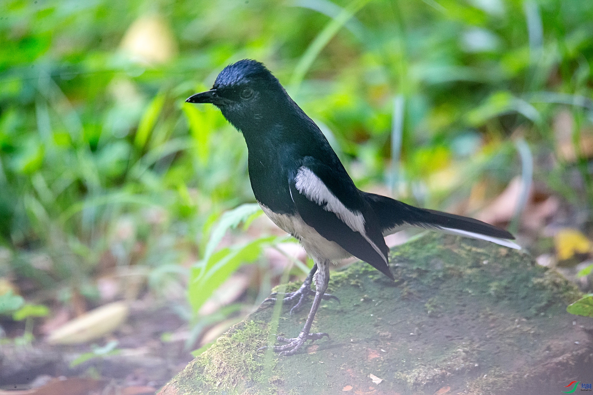 AW8Z8803 ����_����_����.jpg