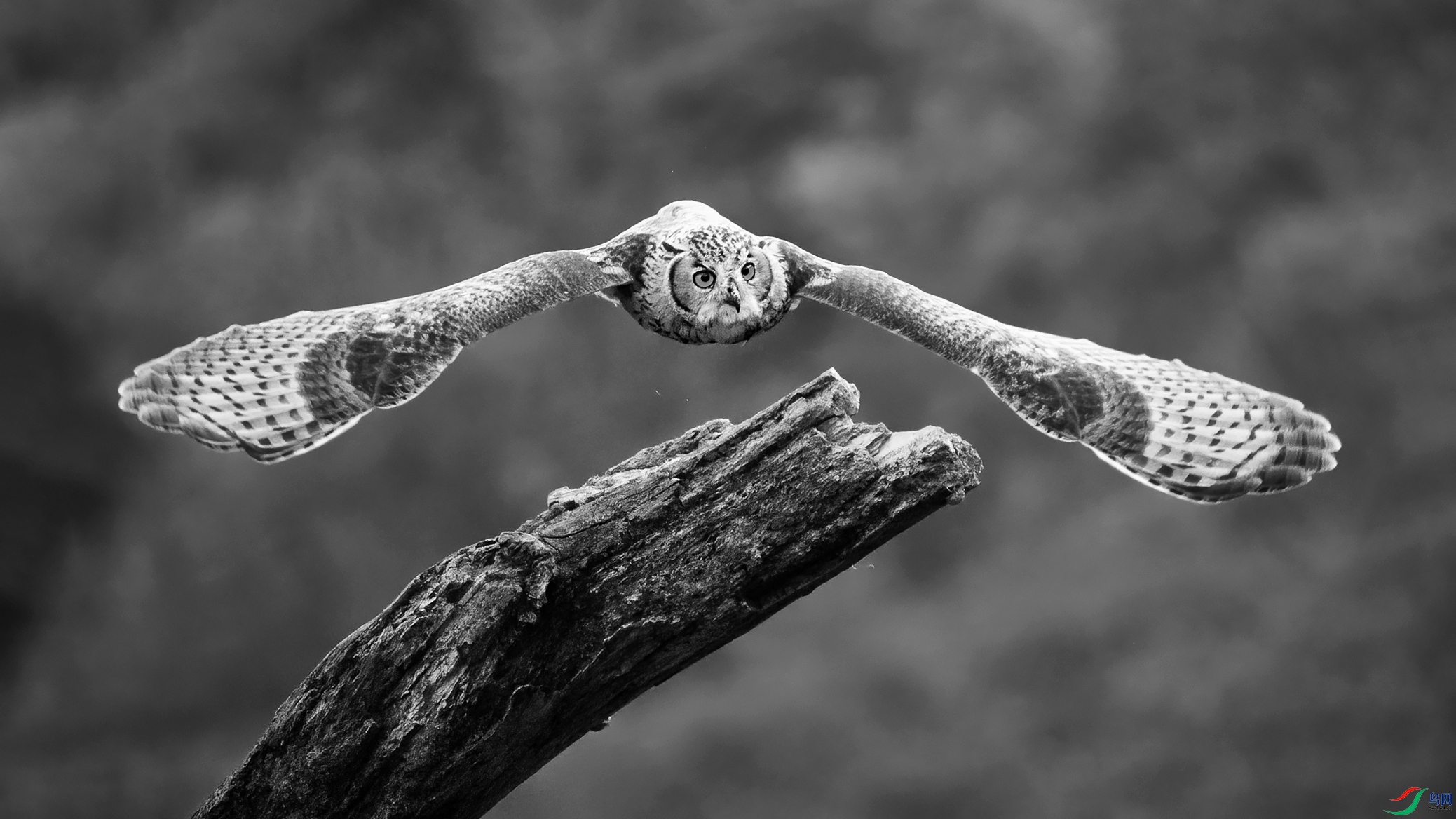 DSC_3150-20260105�ü� .jpg