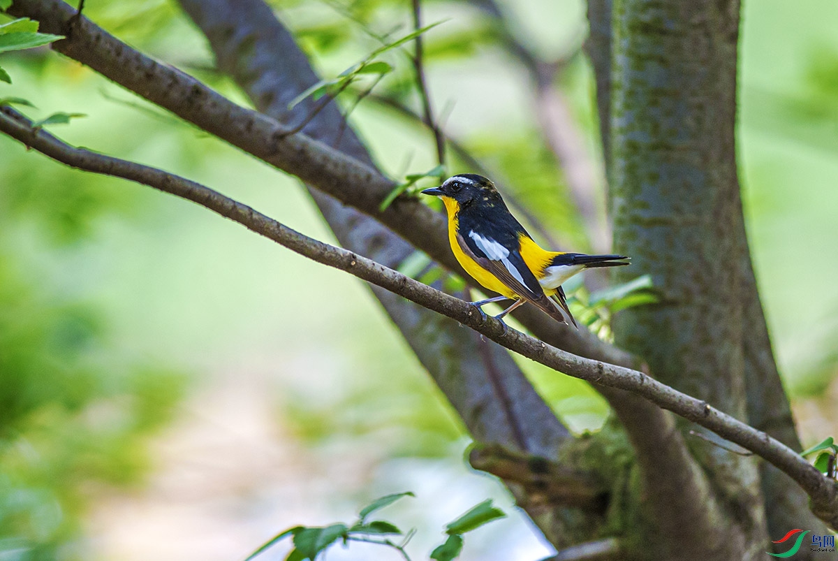 DSC_2594.jpg