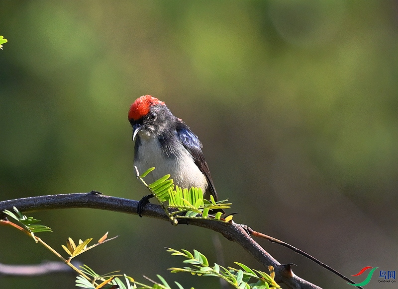 DSC_2739.JPG