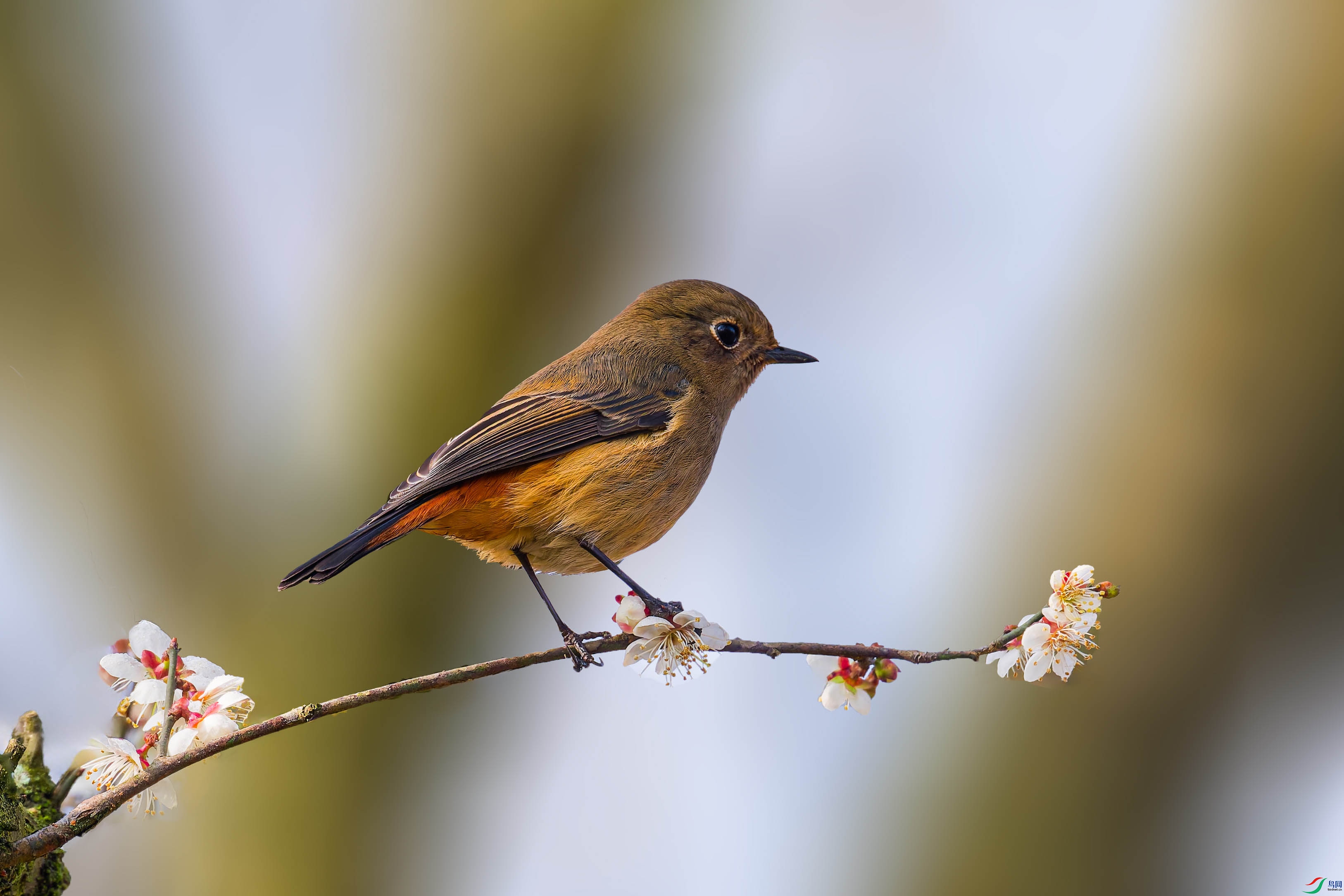 DSC_3116_DxO ����.jpg