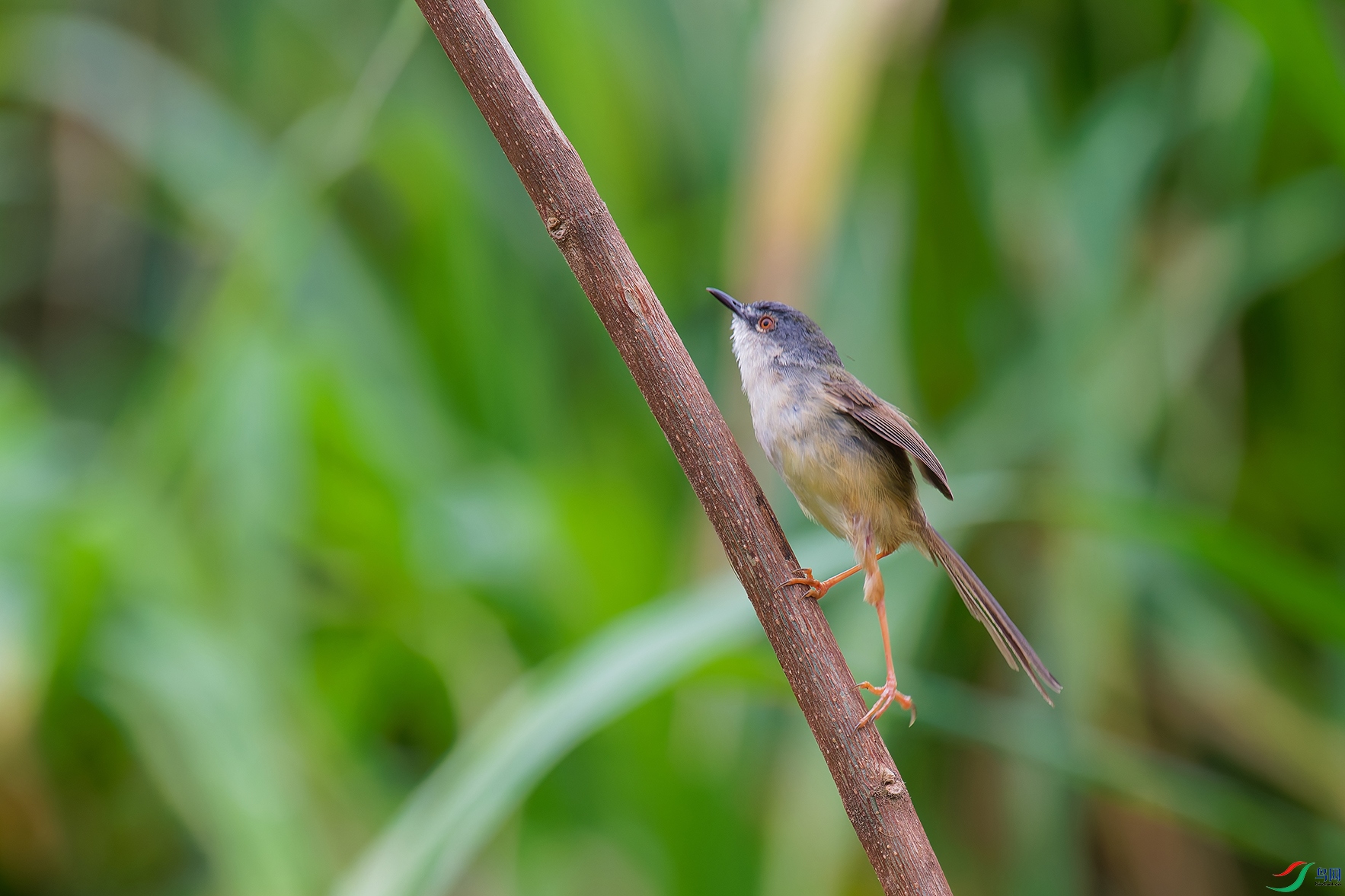 DSC_8483_DxO_DxOaa.jpg